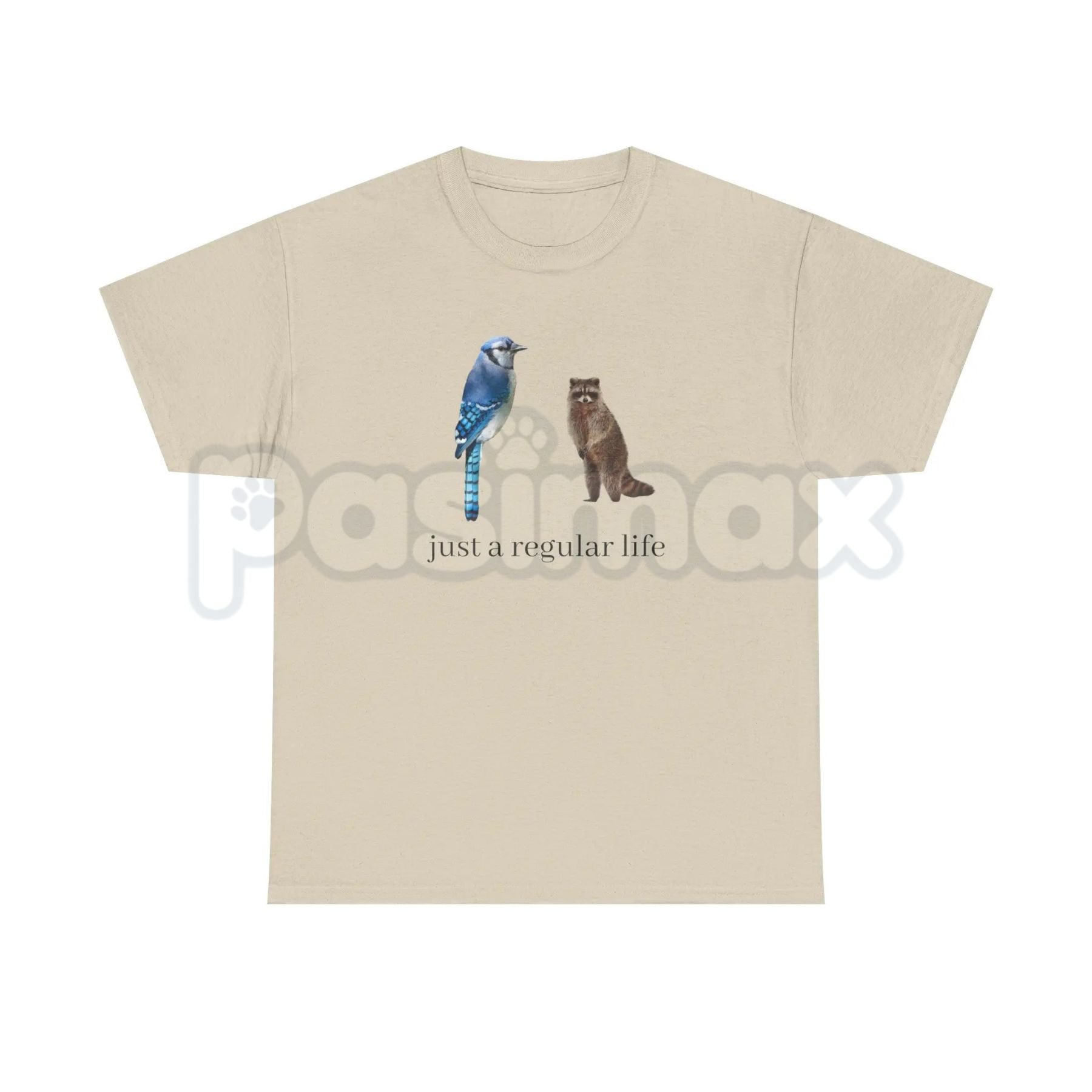 Blue Jay and Raccoon "Just a Regular Life" T-Shirt – Retro 2010s Cartoon Graphic Tee, Premium 100% Cotton Slacker Humor Top, Soft Lived-In Heavyweight Nostalgia Pop Culture Shirt, Made in USA