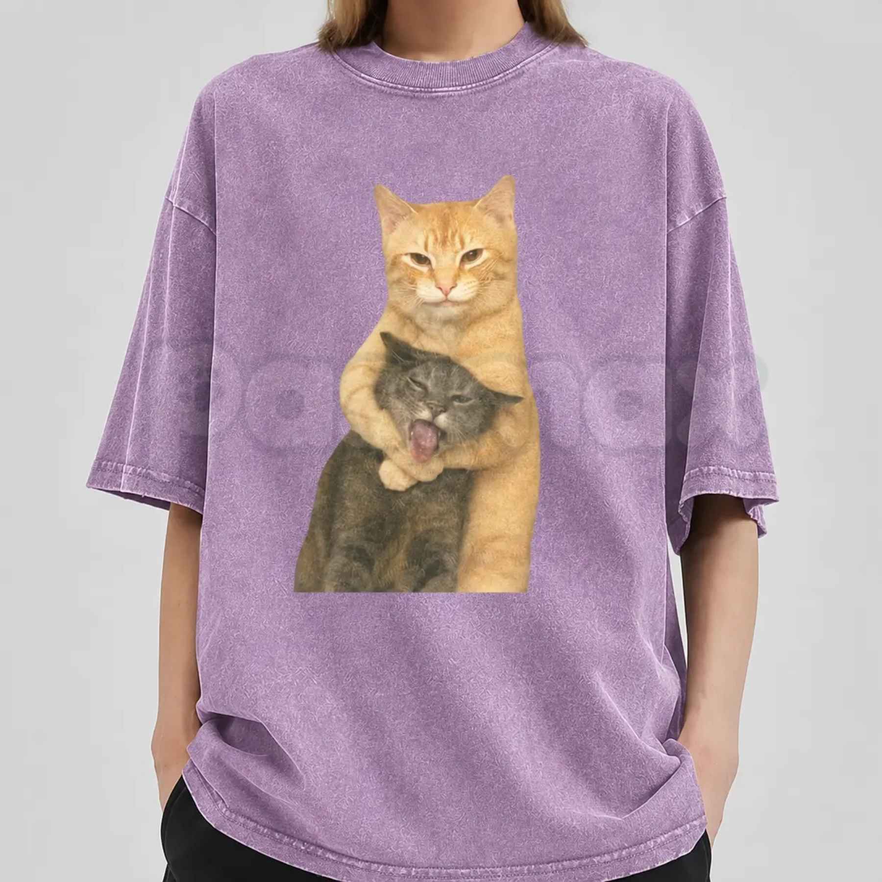 Cat Quarrel Moment T-Shirt – Retro Funny Feline Standoff Graphic Tee, Vintage Washed Lightweight Cotton Unisex Streetwear Top