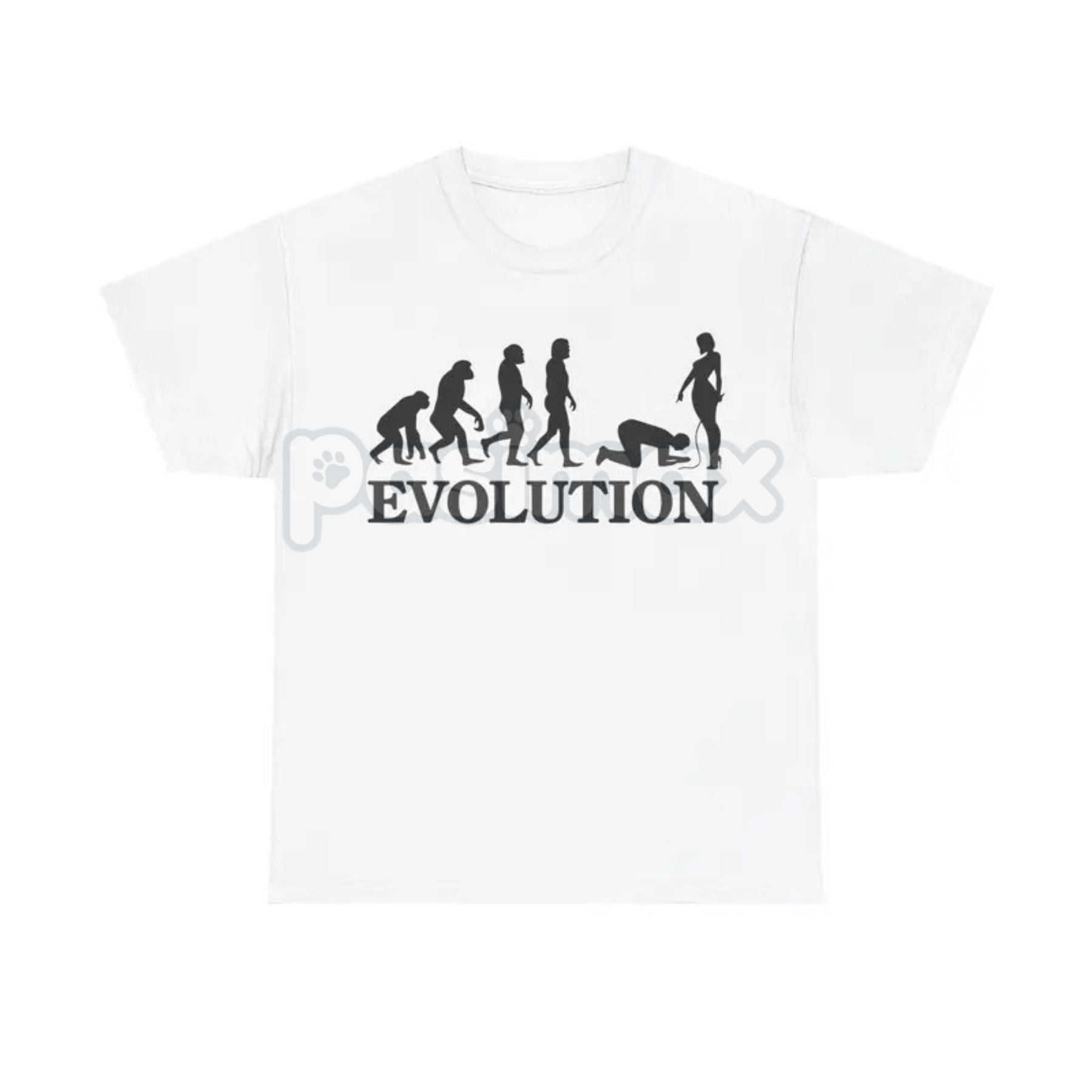 Pasimax "Evolution Simp" Funny Graphic T-Shirt — side view