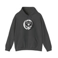 Chicago Baseball Original Stealie Hoodie