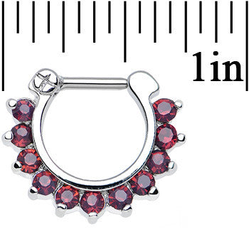 BodyCandy 16G 1/4 Passionate Purple Gem Septum Clicker — detail close-up