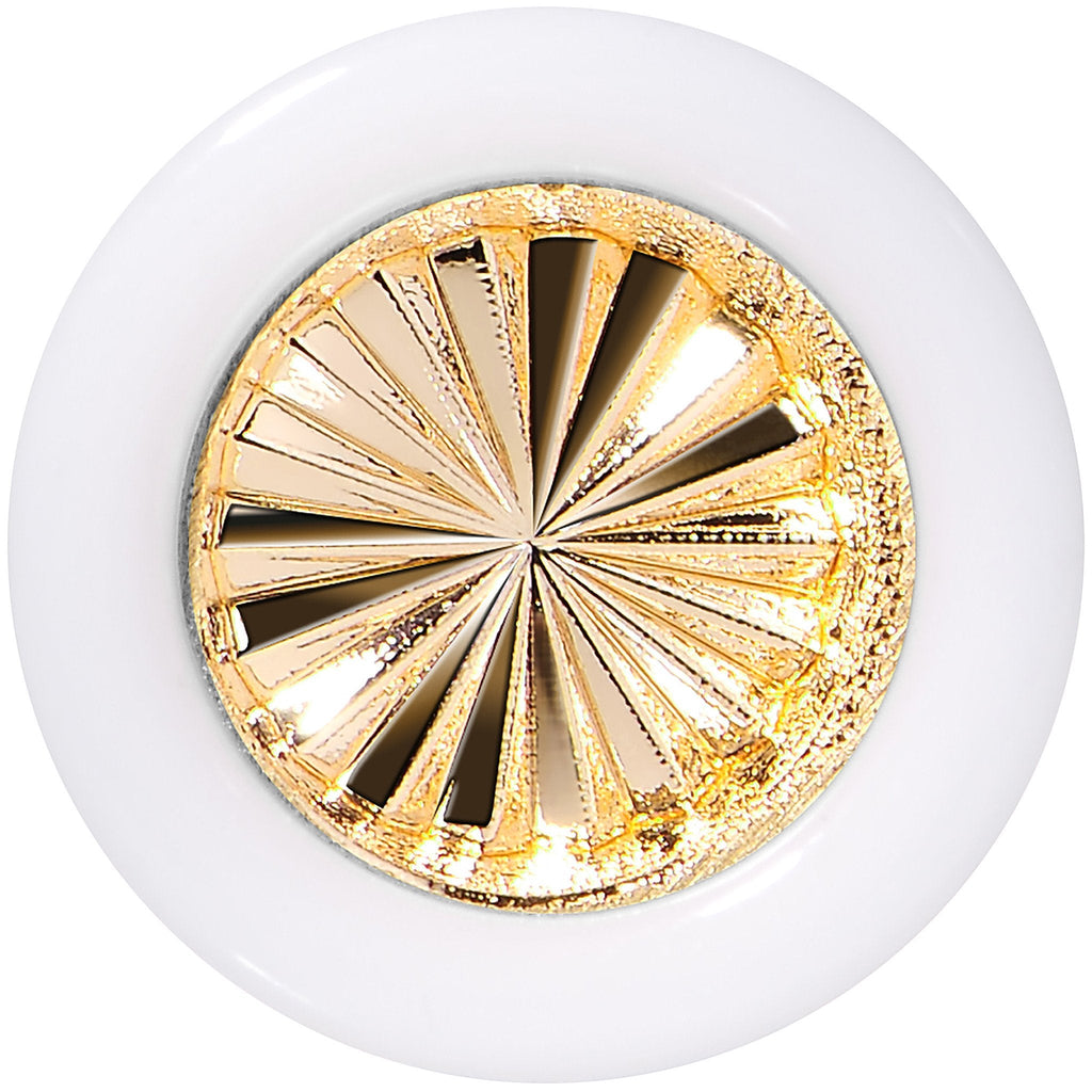 BodyCandy White Acrylic Gold Flashy Tire Rim Saddle Plug 2G to 20mm — detail close-up