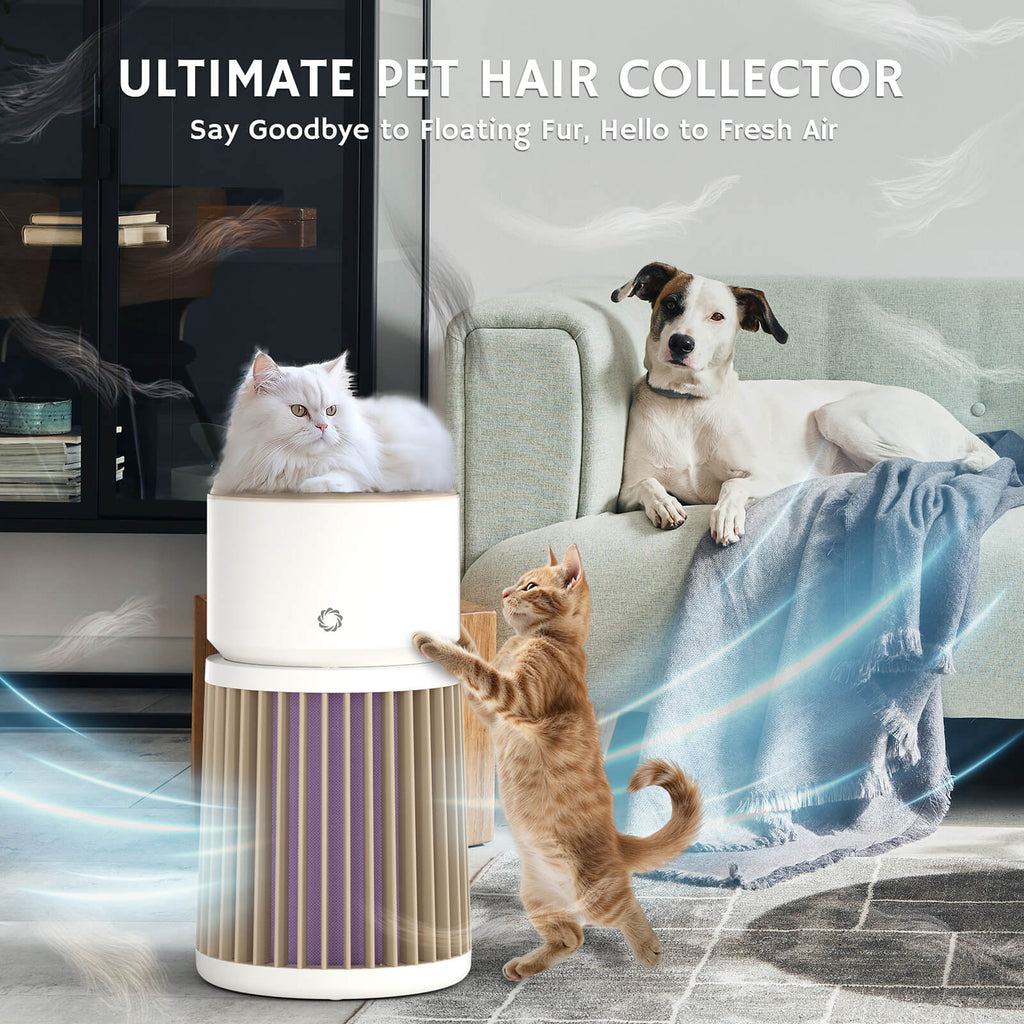 Glory Days AGH400 Pet Air Purifier – Airthereal, view 7
