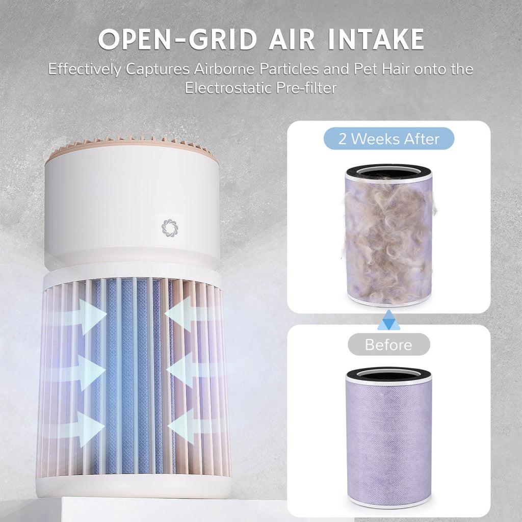 Glory Days AGH400 Pet Air Purifier – Airthereal, view 10