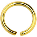 BodyCandy 18G 1/4 Gold IP Annealed Steel Seamless Circular Ring — main product shot