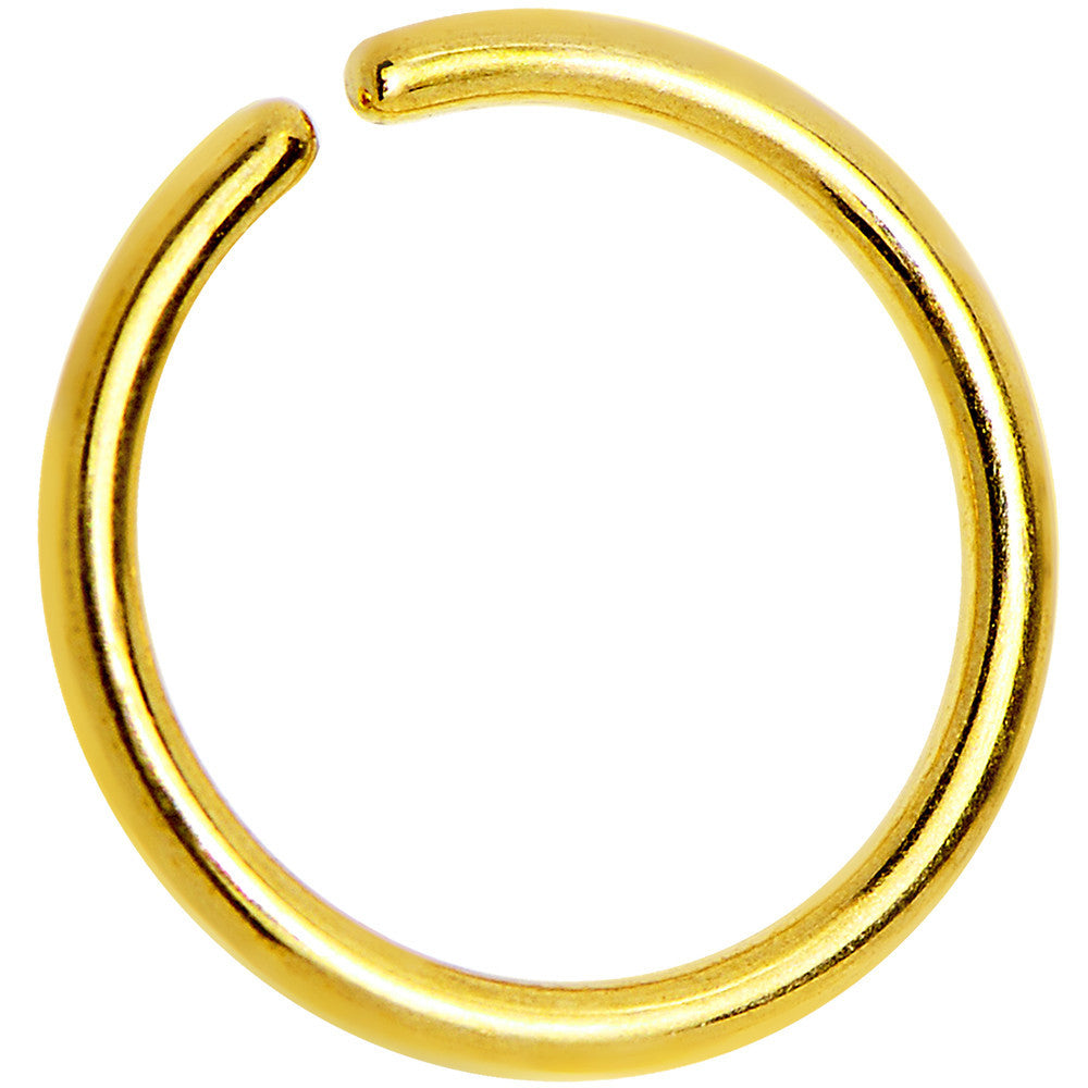 BodyCandy 18G 5/16 Gold IP Annealed Steel Seamless Circular Ring — main product shot