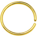 BodyCandy 18G 3/8 Gold IP Annealed Steel Seamless Circular Ring — main product shot