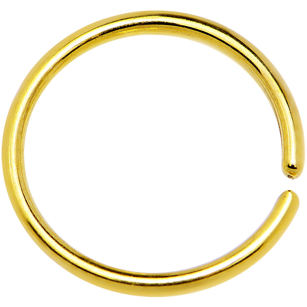 BodyCandy 18G 3/8 Gold IP Annealed Steel Seamless Circular Ring — main product shot