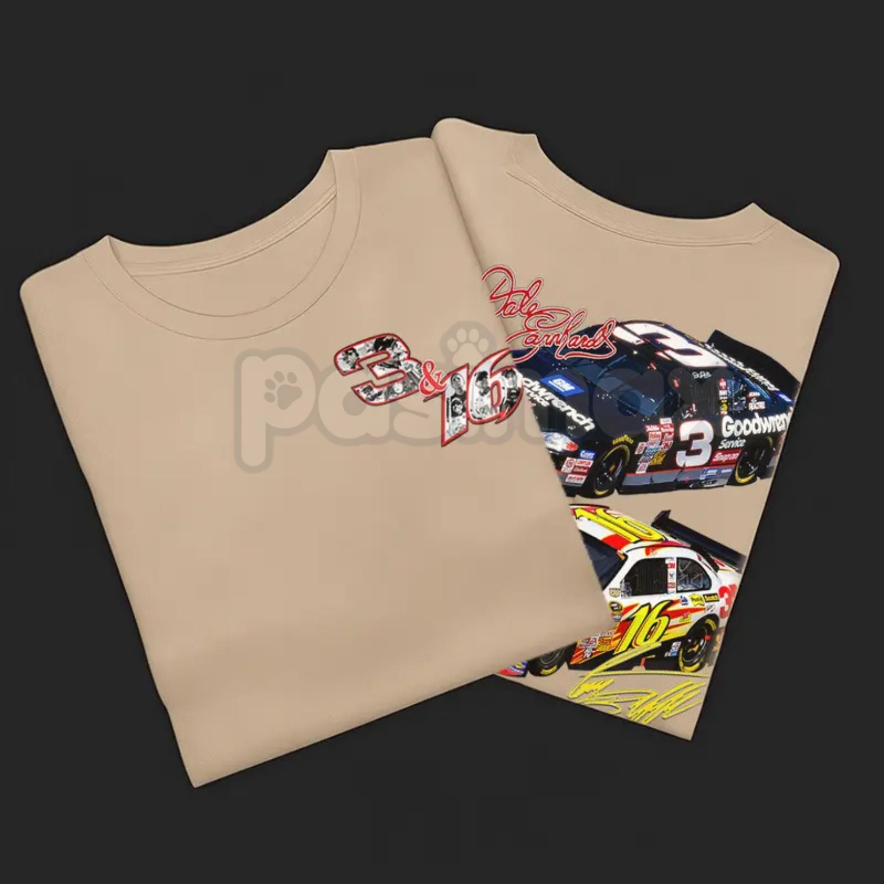 Pasimax Vintage Racing Legacy 3 & 16 Stock Car T-Shirt - Retro Double-Sided Racing Tee, Classic 90s Bootleg Style Stock Car A