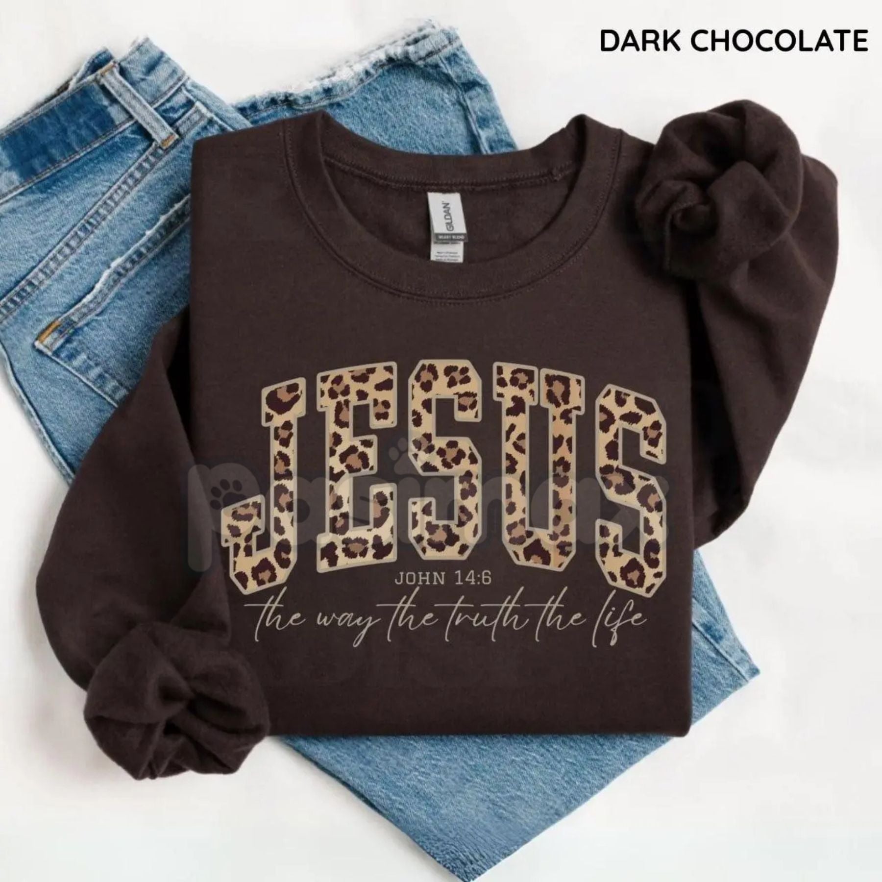 Pasimax Christian Jesus Leopard Sweatshirt | Cheetah Print Faith Crewneck | Modern Bible Verse Shirt for Women — back view