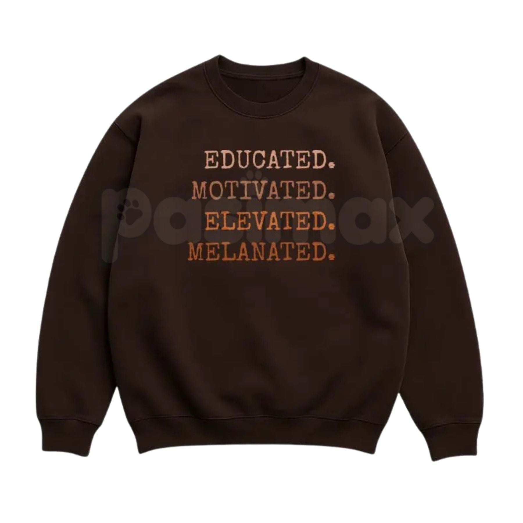 Pasimax Educated Motivated Elevated Melanated Sweatshirt | Retro University Black Excellence Crewneck | Vintage HBCU Pride Ju