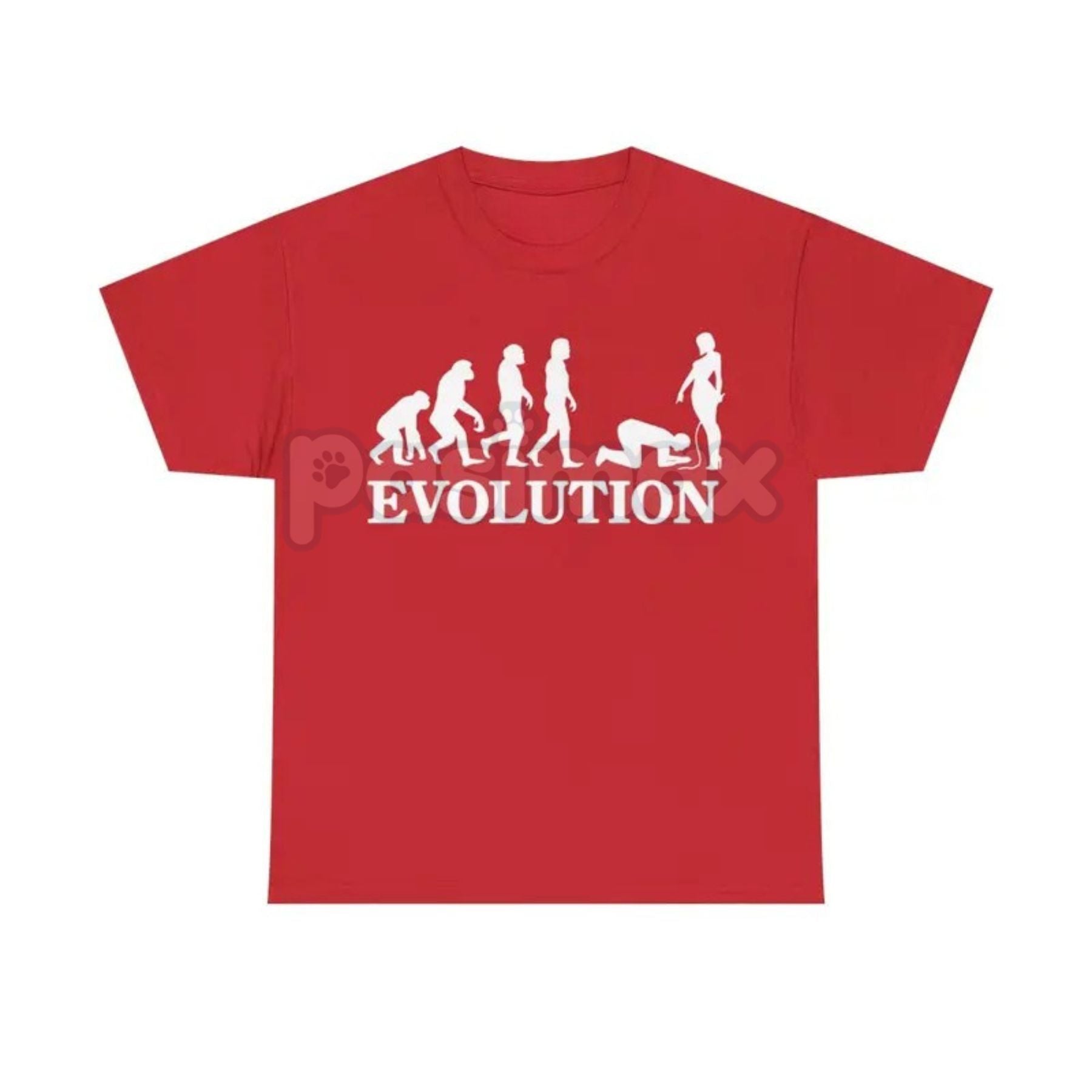 Pasimax "Evolution Simp" Funny Graphic T-Shirt — back view