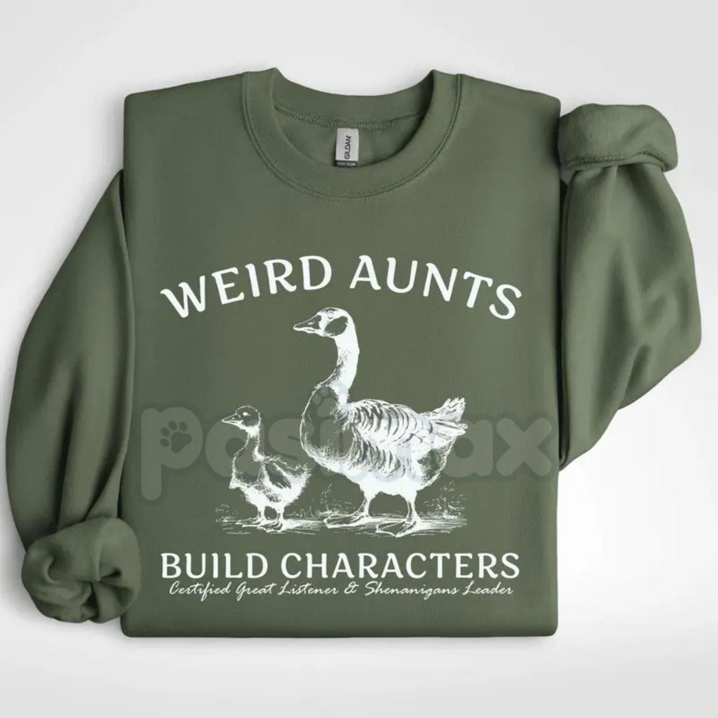 Pasimax Weird Aunts Build Character Sweatshirt | Funny Cool Aunt Crewneck | Aesthetic Fun Aunt Jumper | Gift for Best Aunt Ev