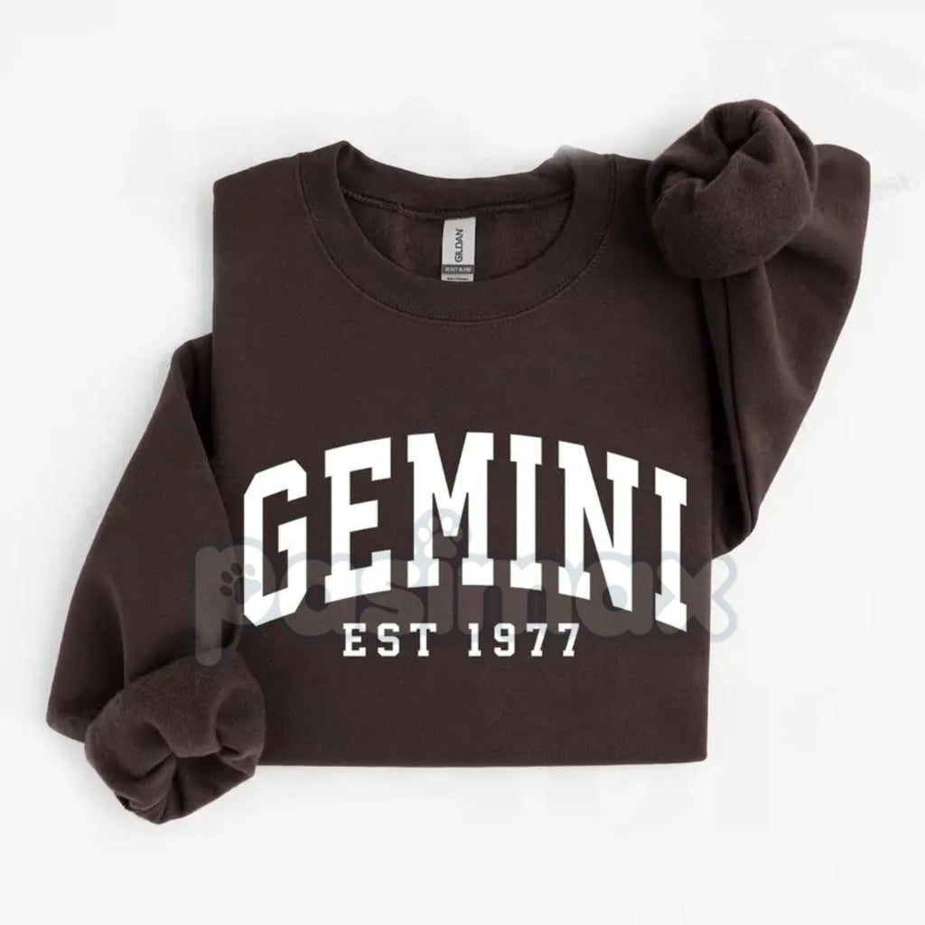 Pasimax Vintage Zodiac Constellation Sweatshirt – Personalized Astrology Est. [Year] Apparel — back view