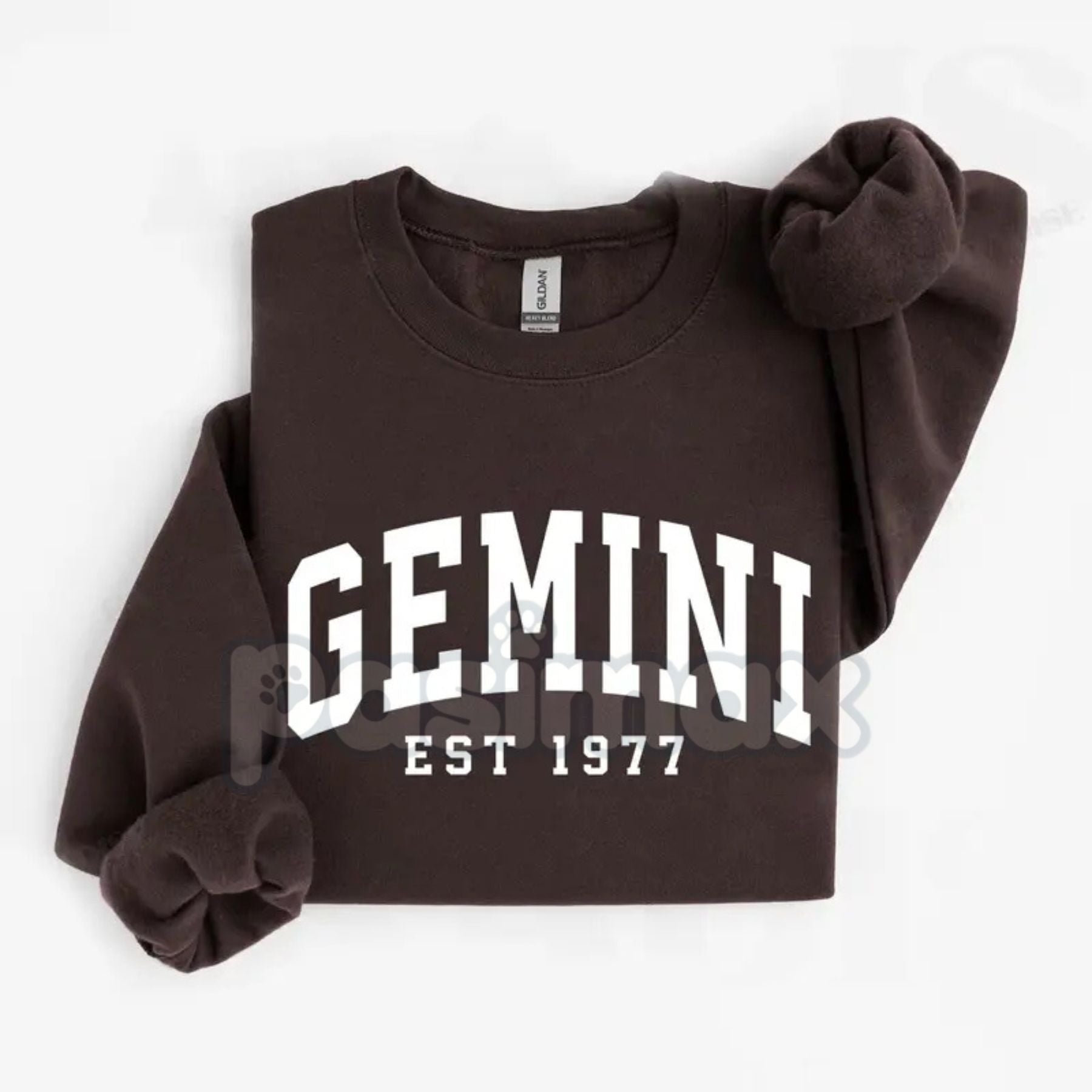 Pasimax Vintage Zodiac Constellation Sweatshirt – Personalized Astrology Est. [Year] Apparel — back view