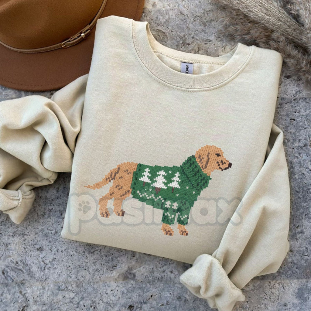 Pasimax Brinkley Dog in Holiday Sweater Pullover – Cute Festive Pet Graphic Sweatshirt — lifestyle context