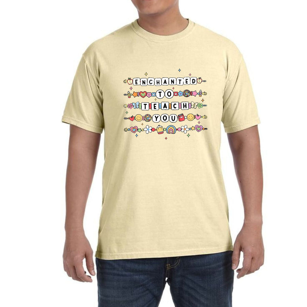 Pasimax Teacher Appreciation T-Shirt — back view