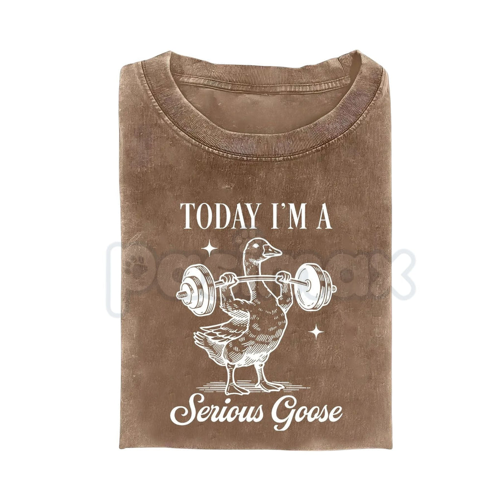 Today I'm a Serious Goose Funny T-Shirt – Men’s Vintage Washed Graphic Tee, Lightweight Sarcastic Animal Streetwear Top