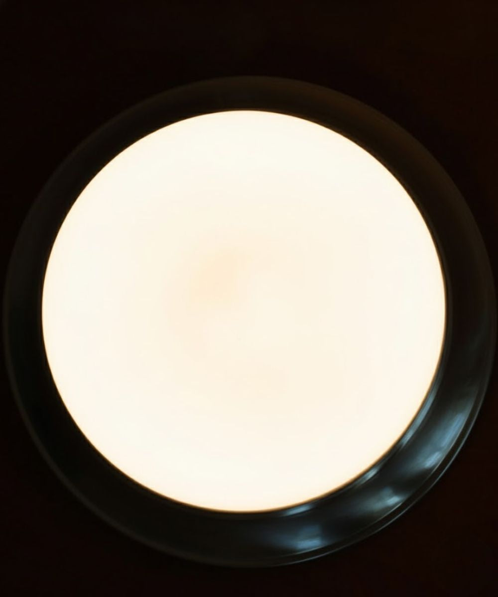 13"w 1-Light LED Flush Mount Ceiling Light Fixture Brushed Nickel Finish by RP Lighting – LampsUSA, view 4