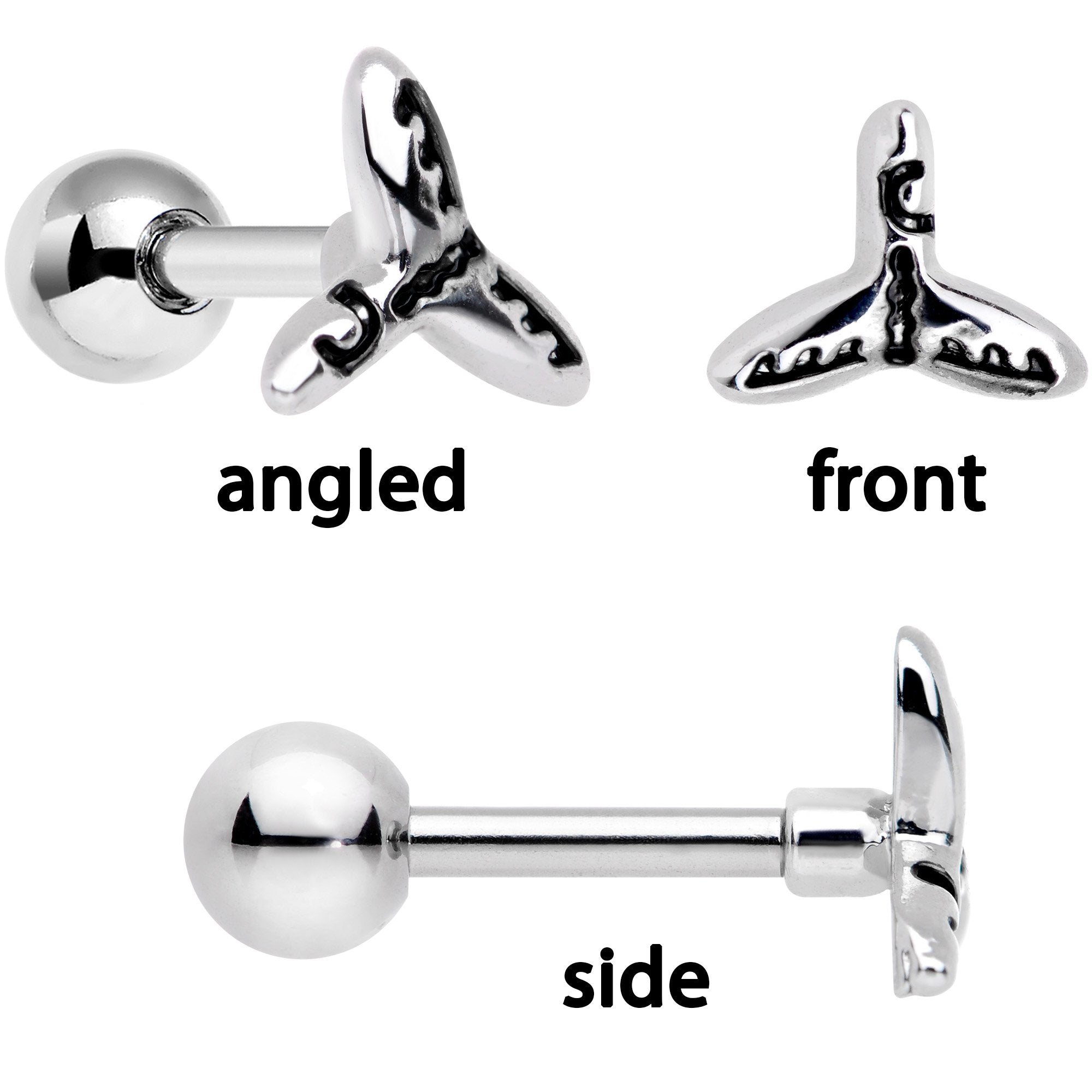 BodyCandy 16G 1/4 Ocean Starfish Life Cartilage Tragus Earring Set of 3 — branding close-up
