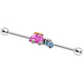 BodyCandy 14G Pink Time for a Road Trip Industrial Barbell 38mm — main product shot