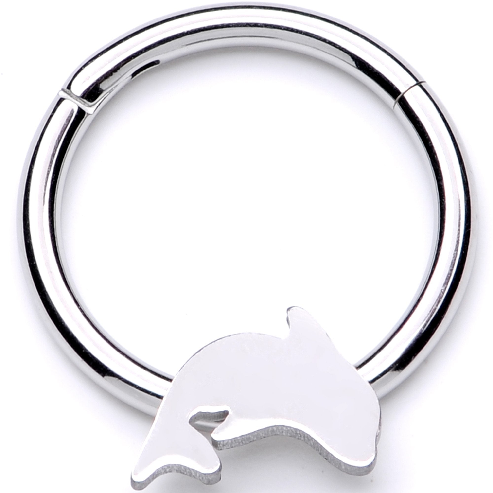 BodyCandy 16G 3/8 Leaping Dolphin Hinged Segment Ring — main product shot