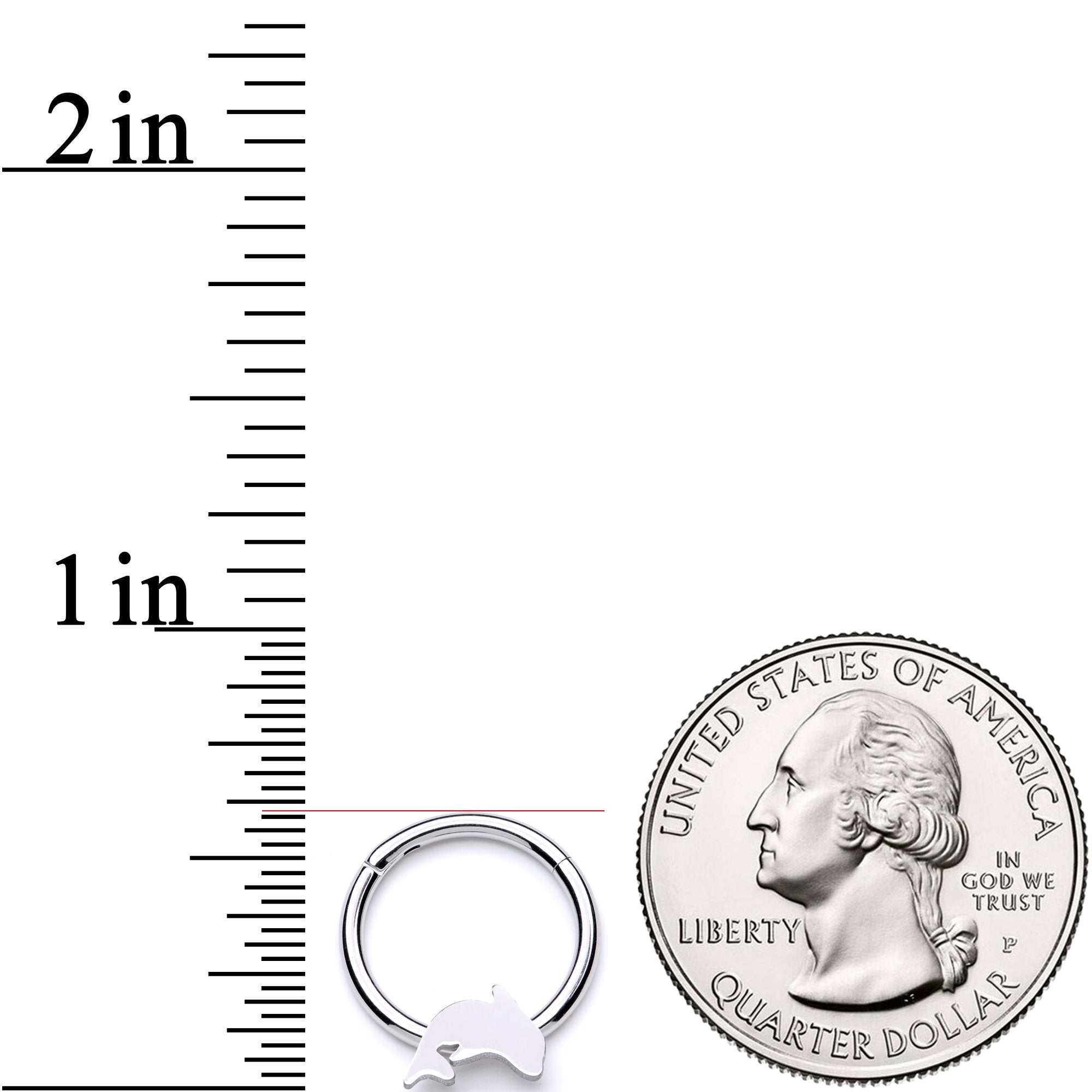 BodyCandy 16G 3/8 Leaping Dolphin Hinged Segment Ring — lifestyle context