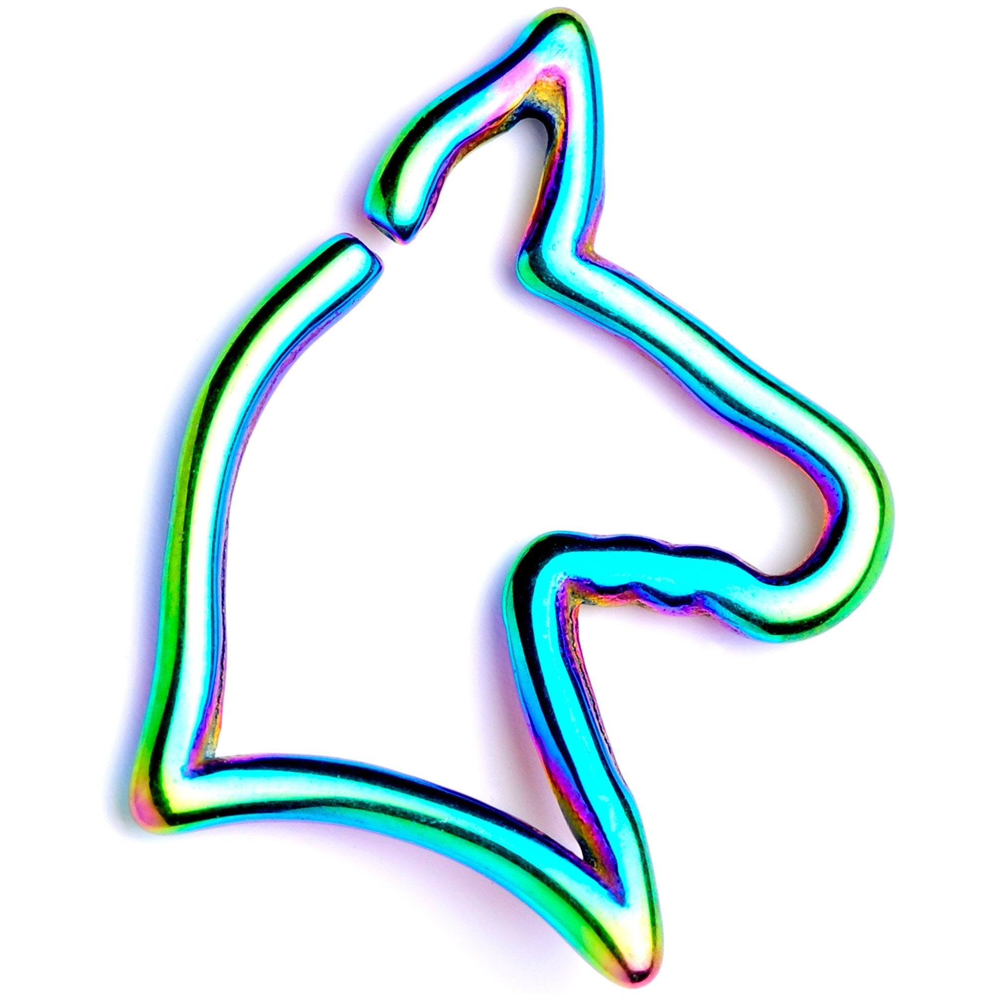BodyCandy 16G 5/16 Rainbow Darling Doggy Cartilage Closure Ring — detail and construction