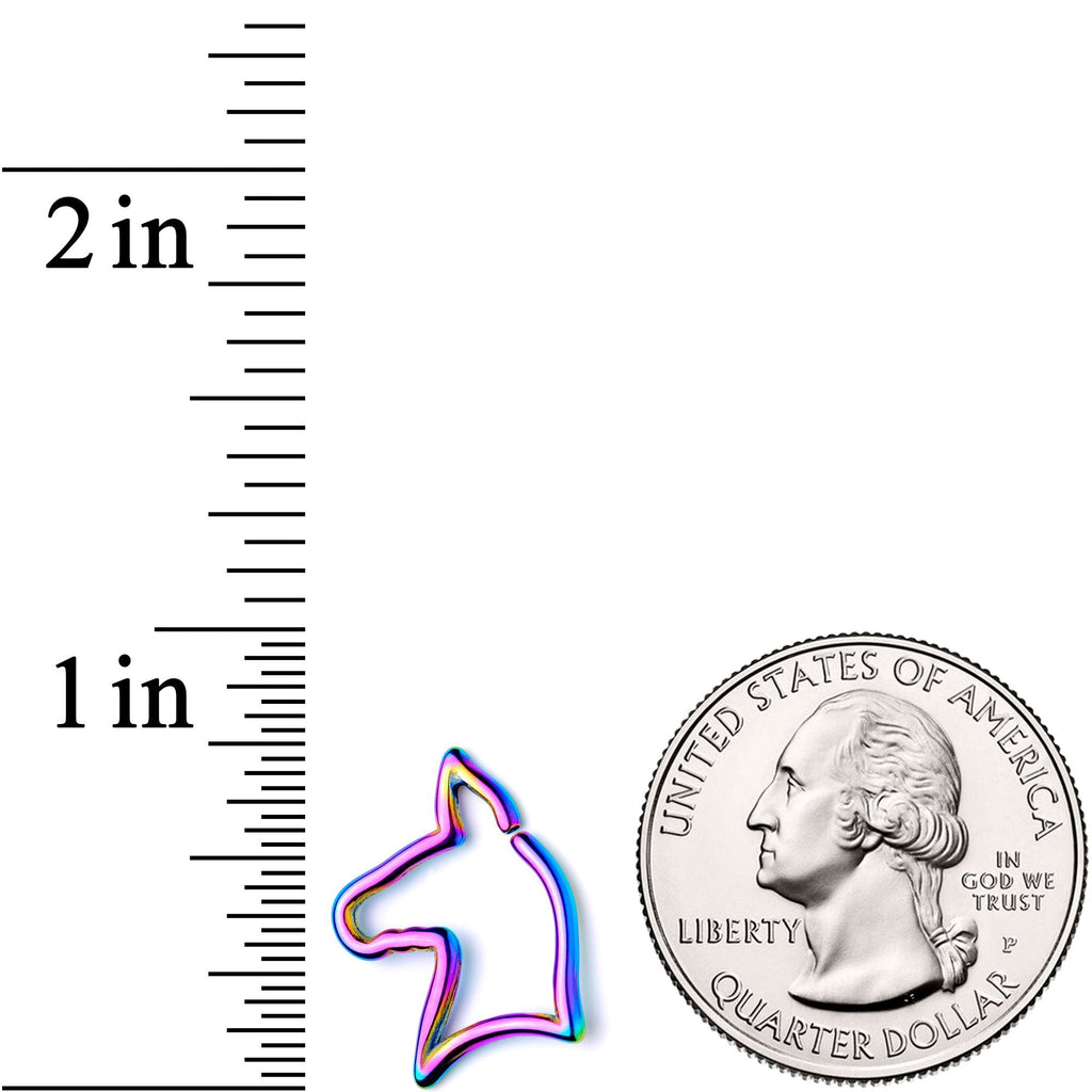 BodyCandy 16G 5/16 Rainbow Darling Doggy Cartilage Closure Ring — lifestyle context
