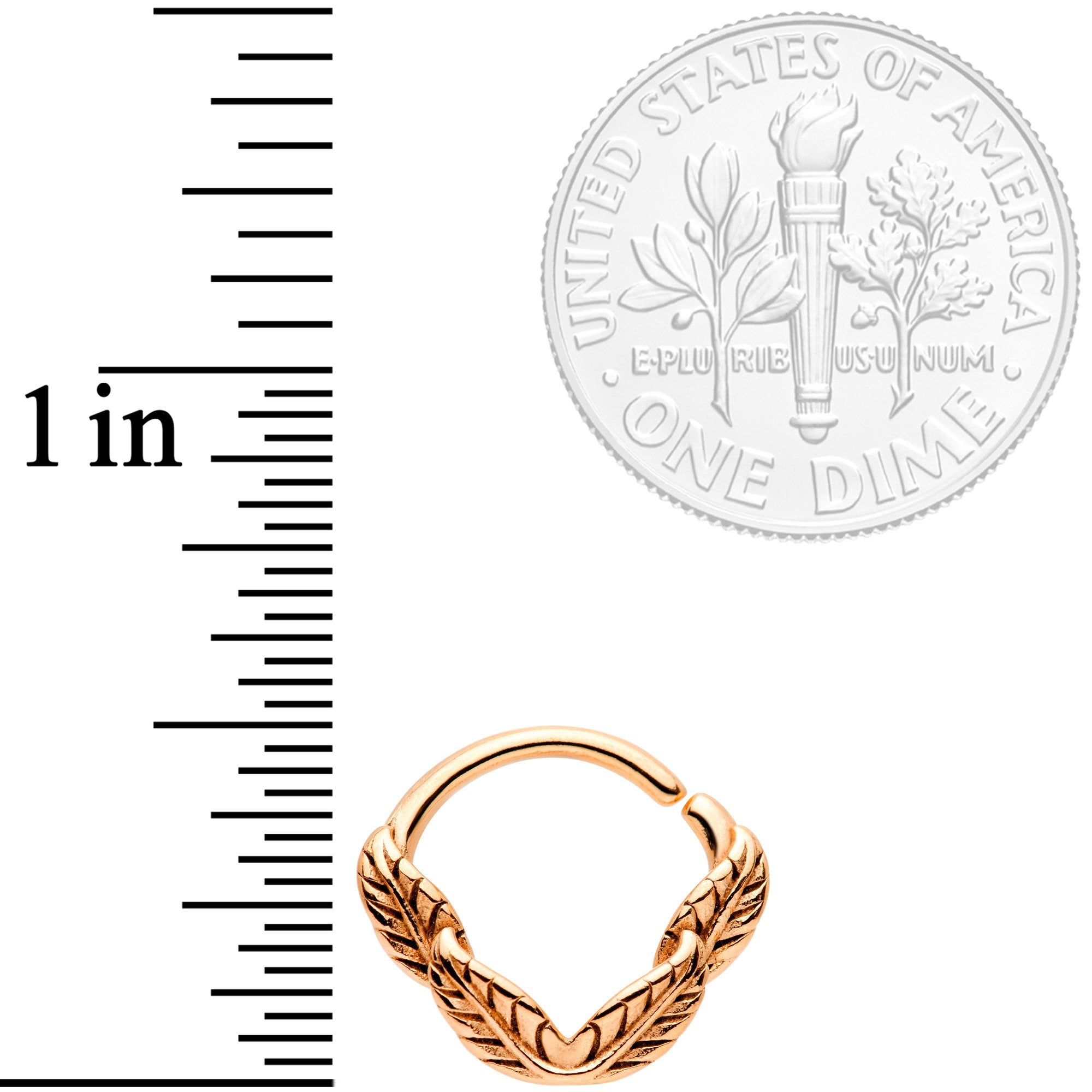 BodyCandy 16G 3/8 Rose Gold Tone Ring of Feathers Closure Ring — detail and construction