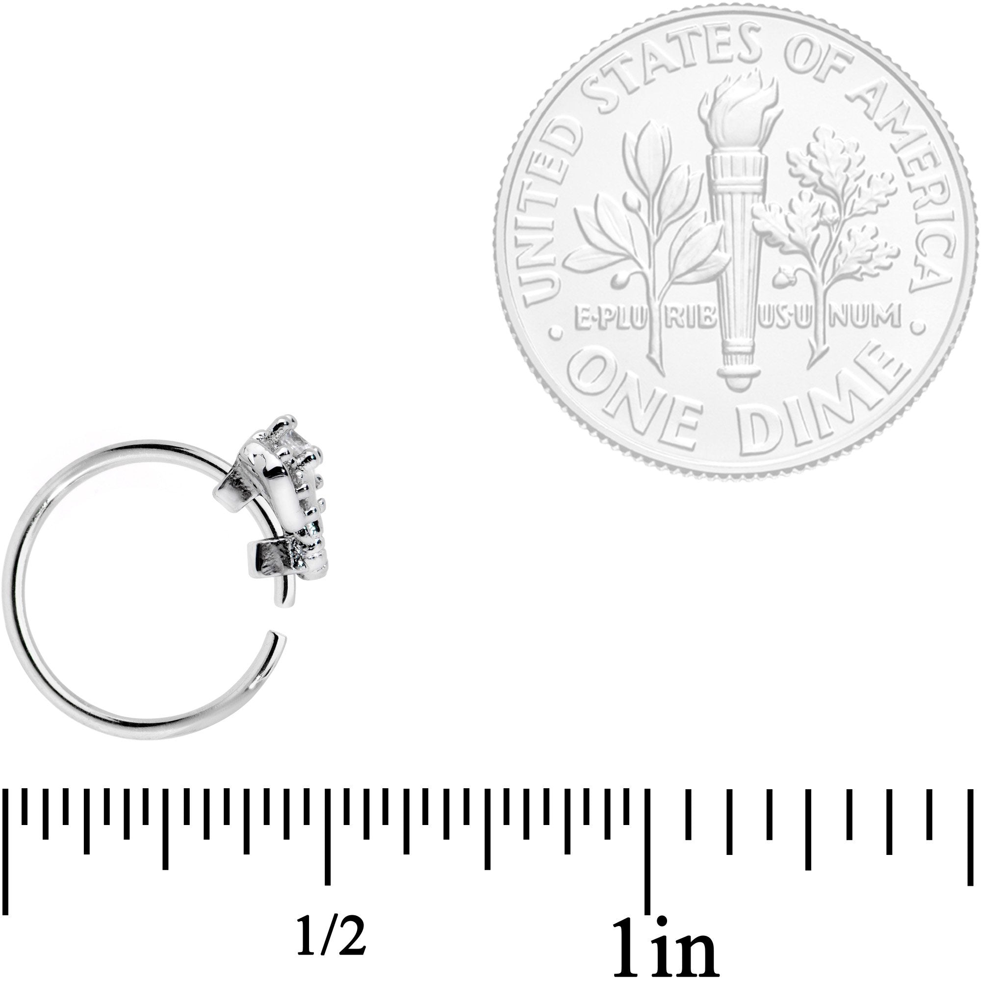BodyCandy 20G 5/16 Clear Gem Enticing Elephant Nose Hoop — lifestyle context