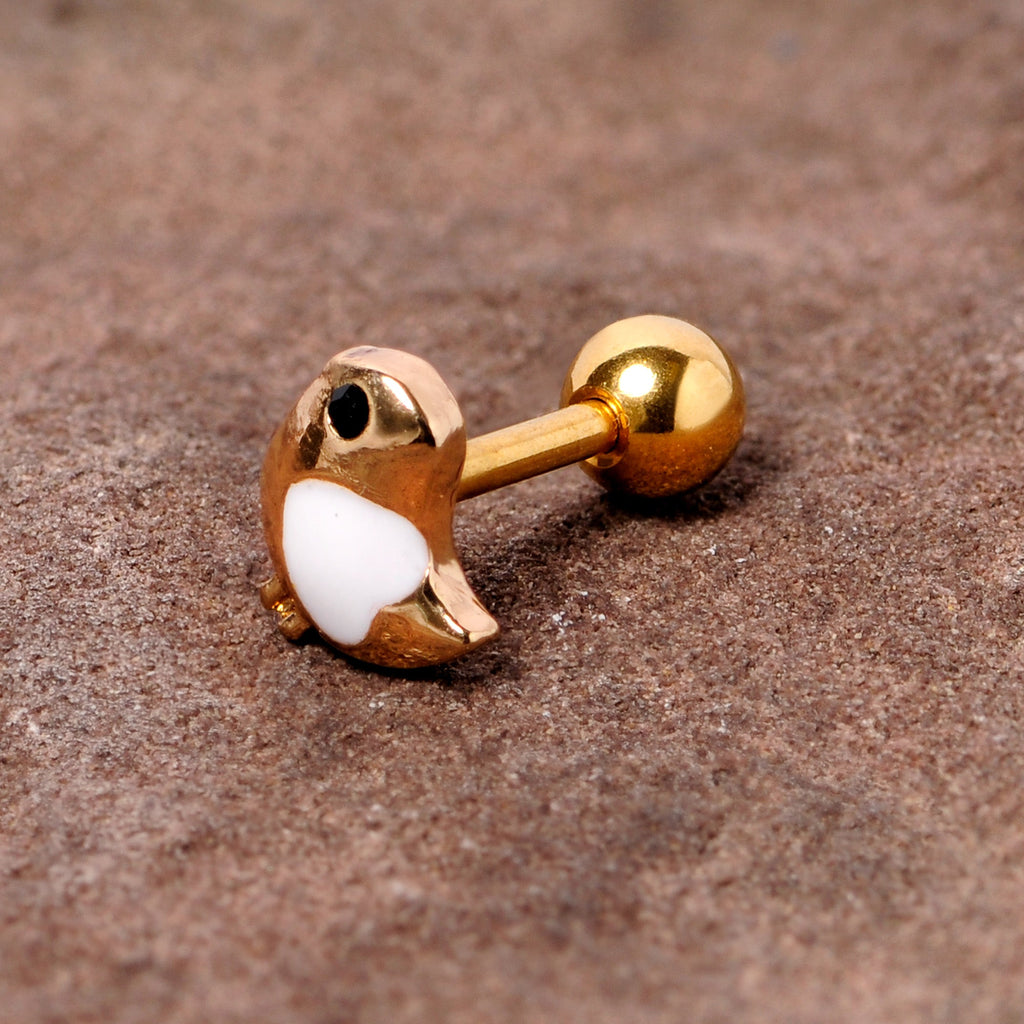 BodyCandy 16G 1/4 Black Gem Gold Tone Baby Bird Cartilage Tragus Earring — detail close-up