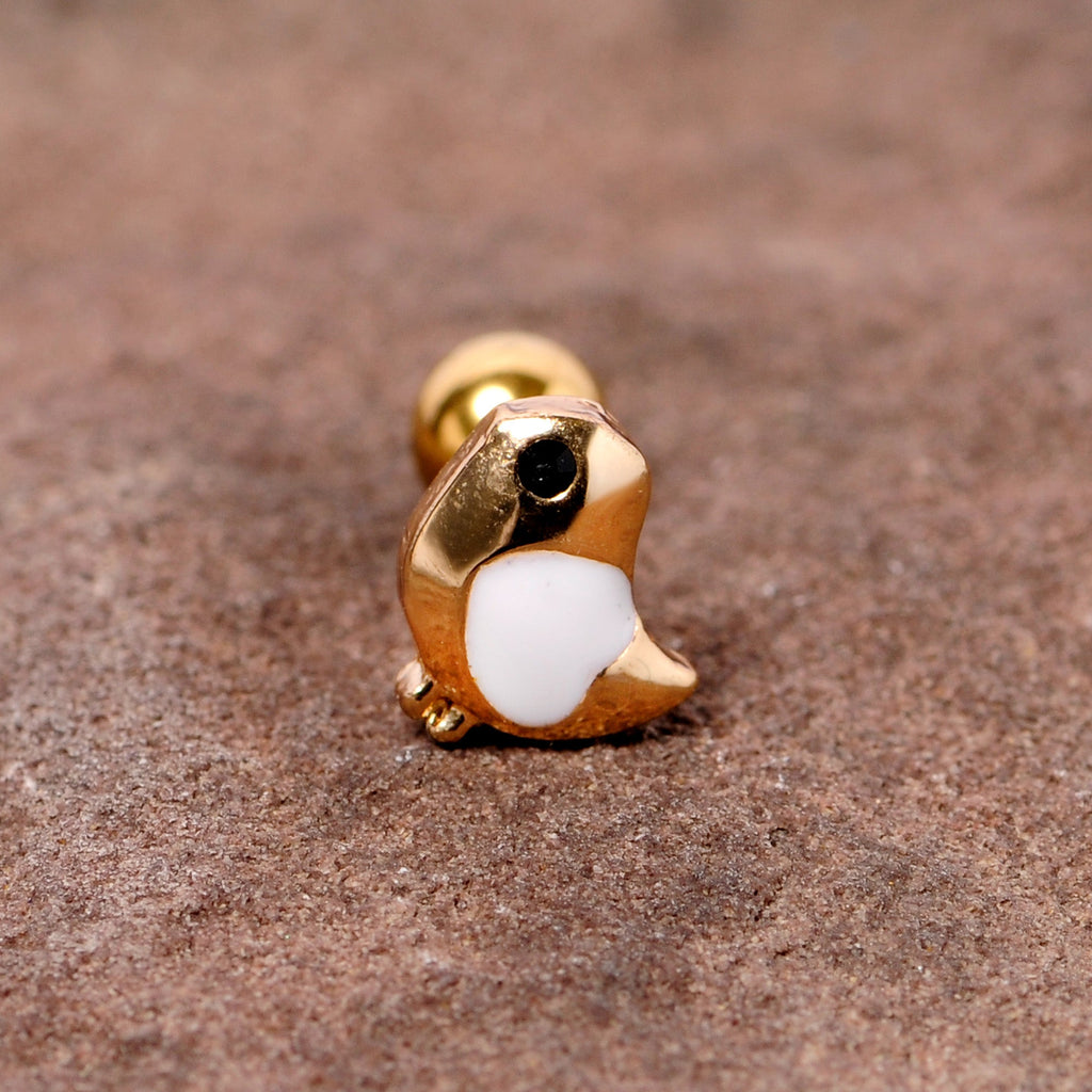 BodyCandy 16G 1/4 Black Gem Gold Tone Baby Bird Cartilage Tragus Earring — lifestyle context