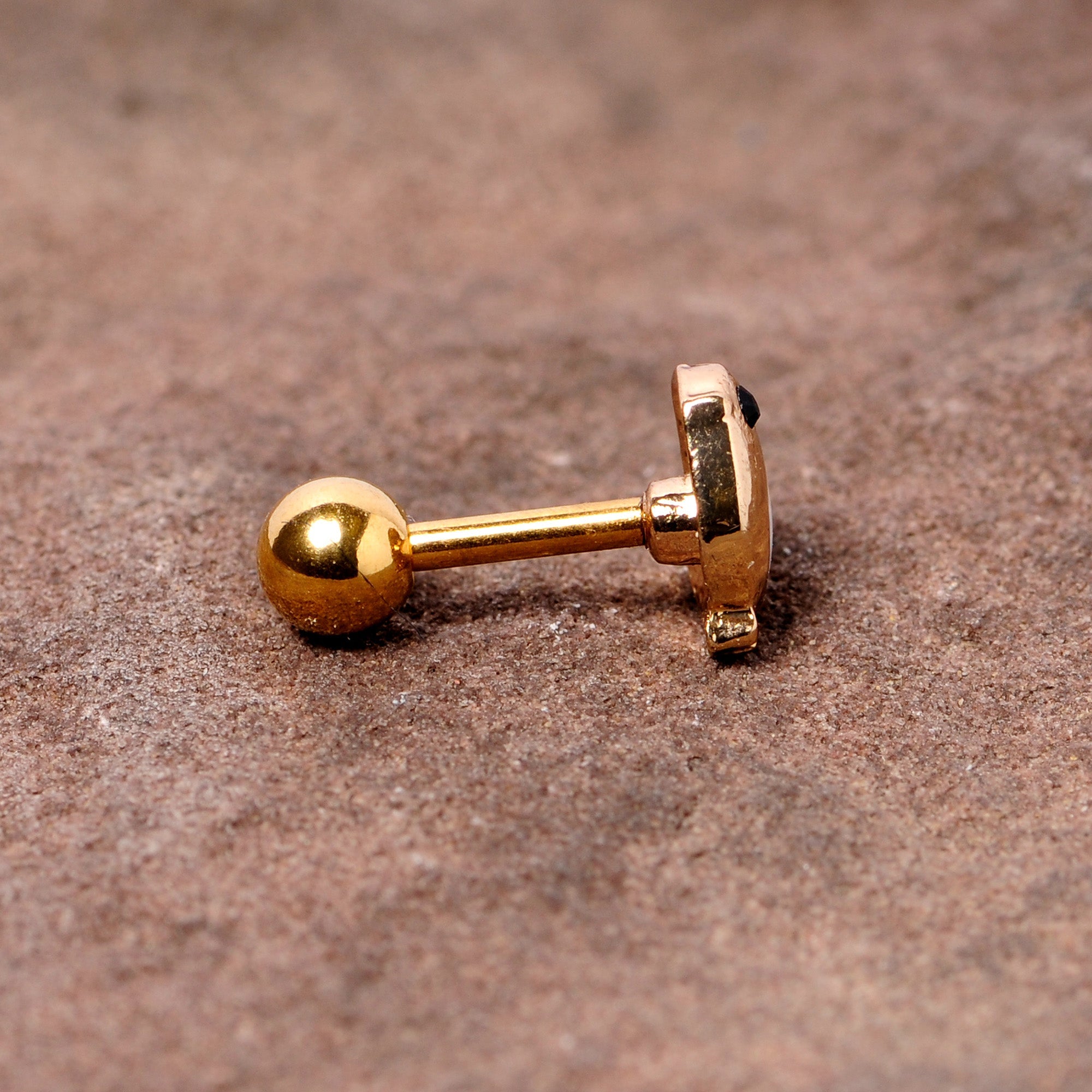 BodyCandy 16G 1/4 Black Gem Gold Tone Baby Bird Cartilage Tragus Earring — side view