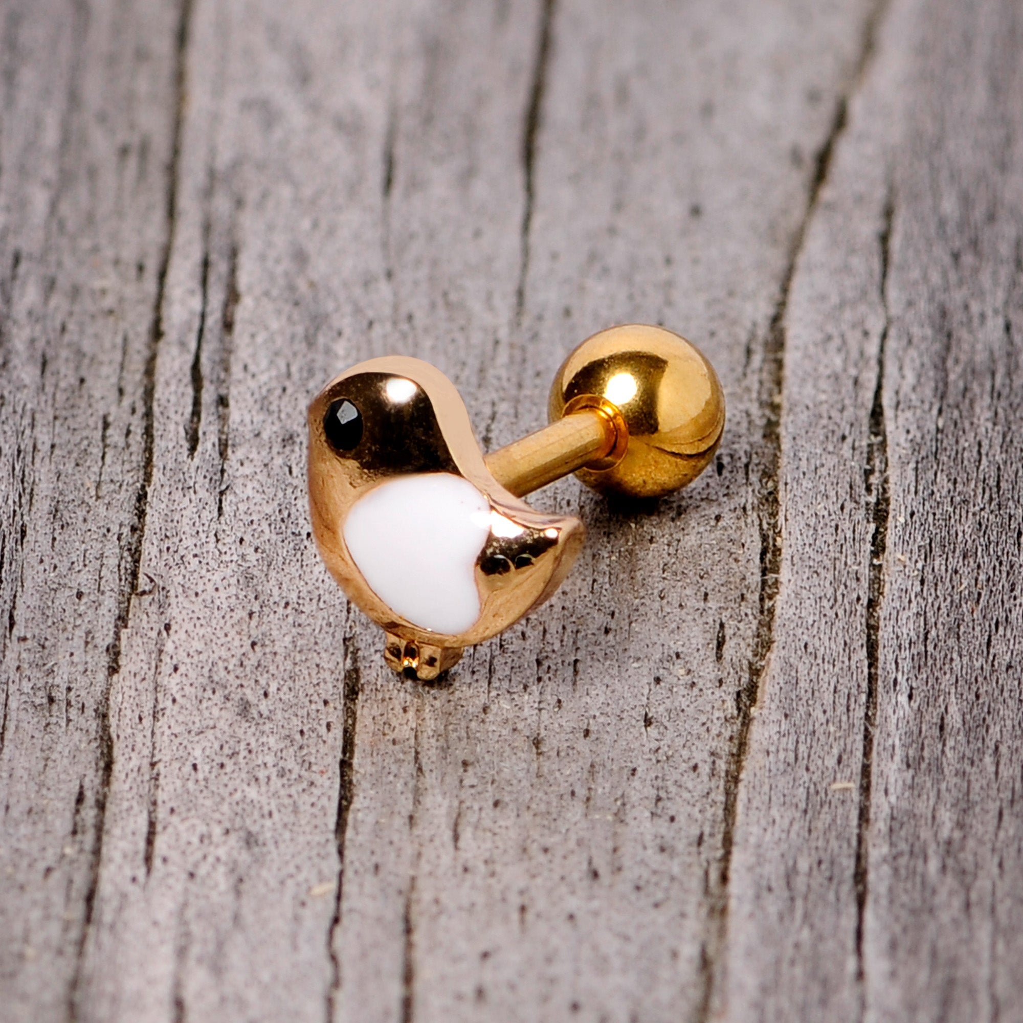 BodyCandy 16G 1/4 Black Gem Gold Tone Baby Bird Cartilage Tragus Earring — back view