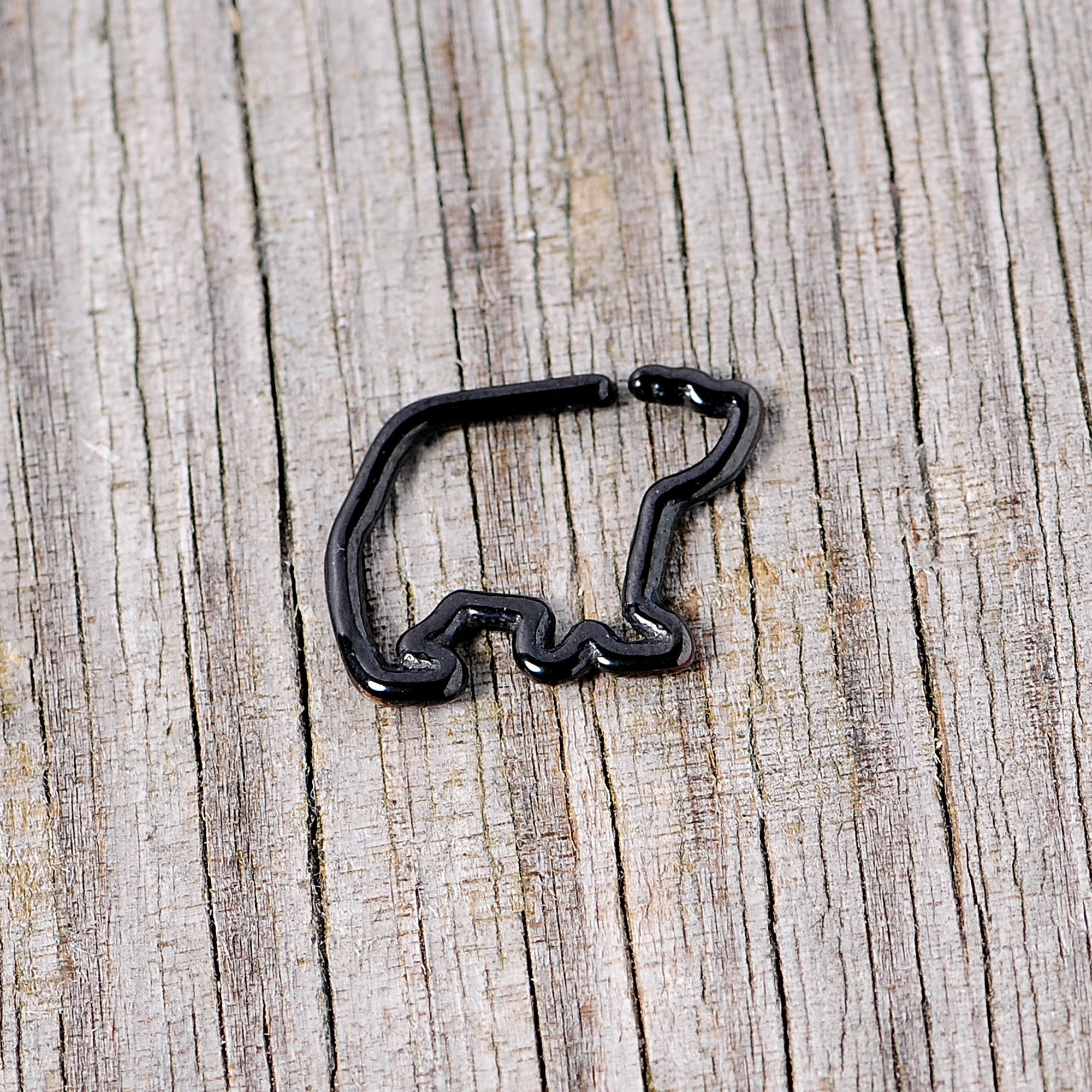 BodyCandy 16G 5/16 Black Polar Bear Closure Ring — lifestyle context