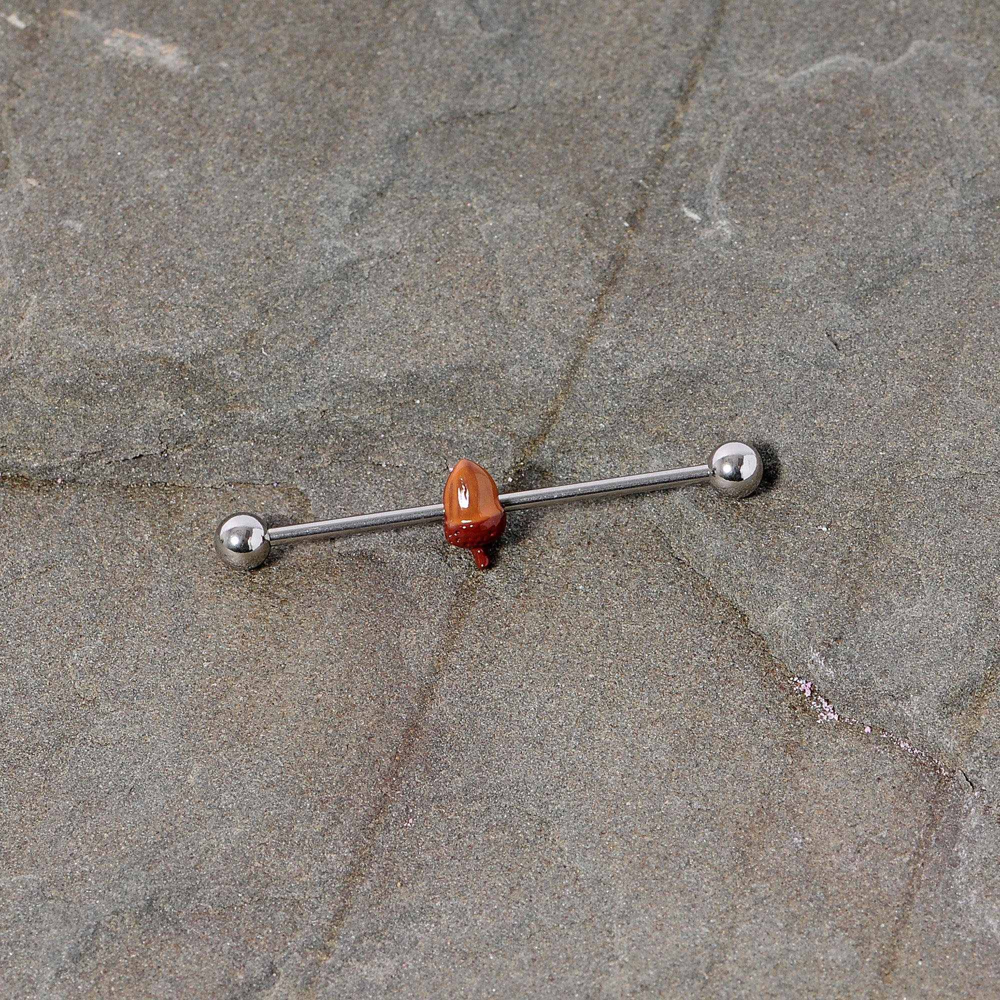BodyCandy 14G Brown Fall Autumn Acorn Industrial Barbell 38mm — lifestyle context