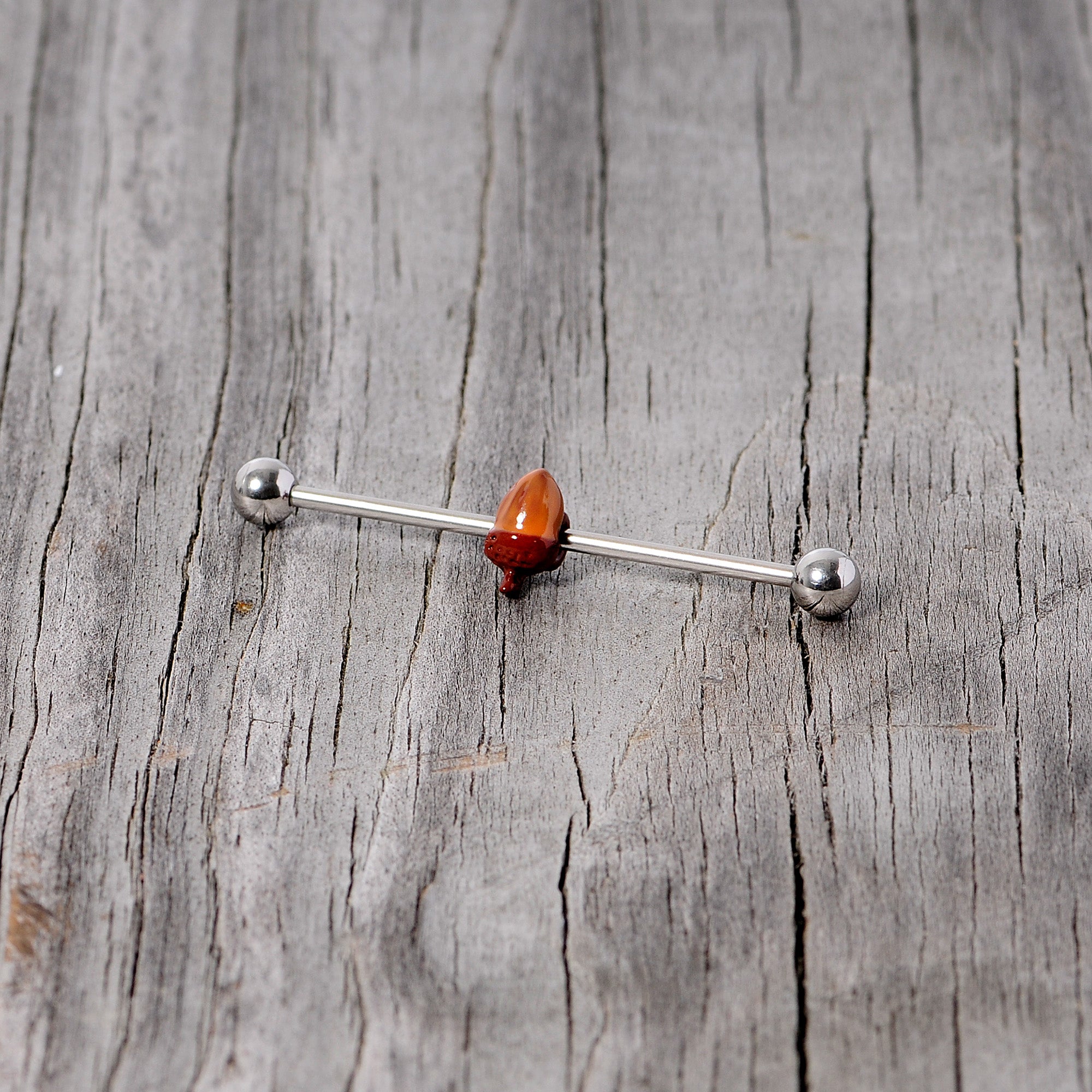 BodyCandy 14G Brown Fall Autumn Acorn Industrial Barbell 38mm — back view