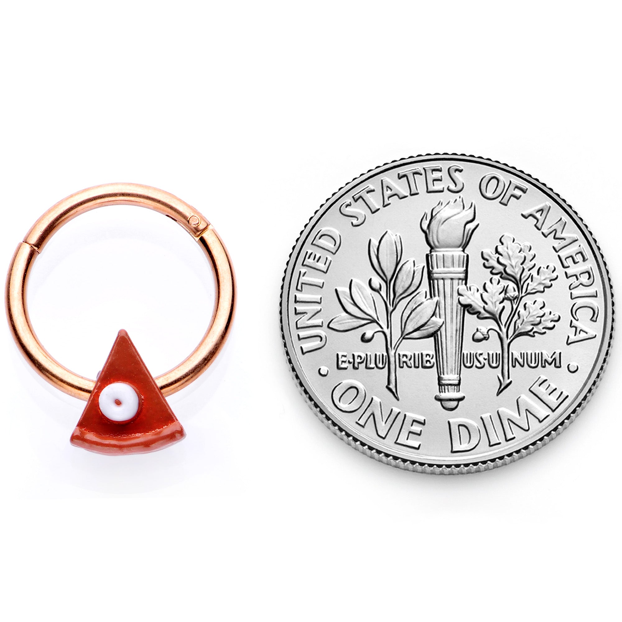 BodyCandy 16G 3/8 Rose Gold Tone Pumpkin Pie Holiday Hinged Segment Ring — back view