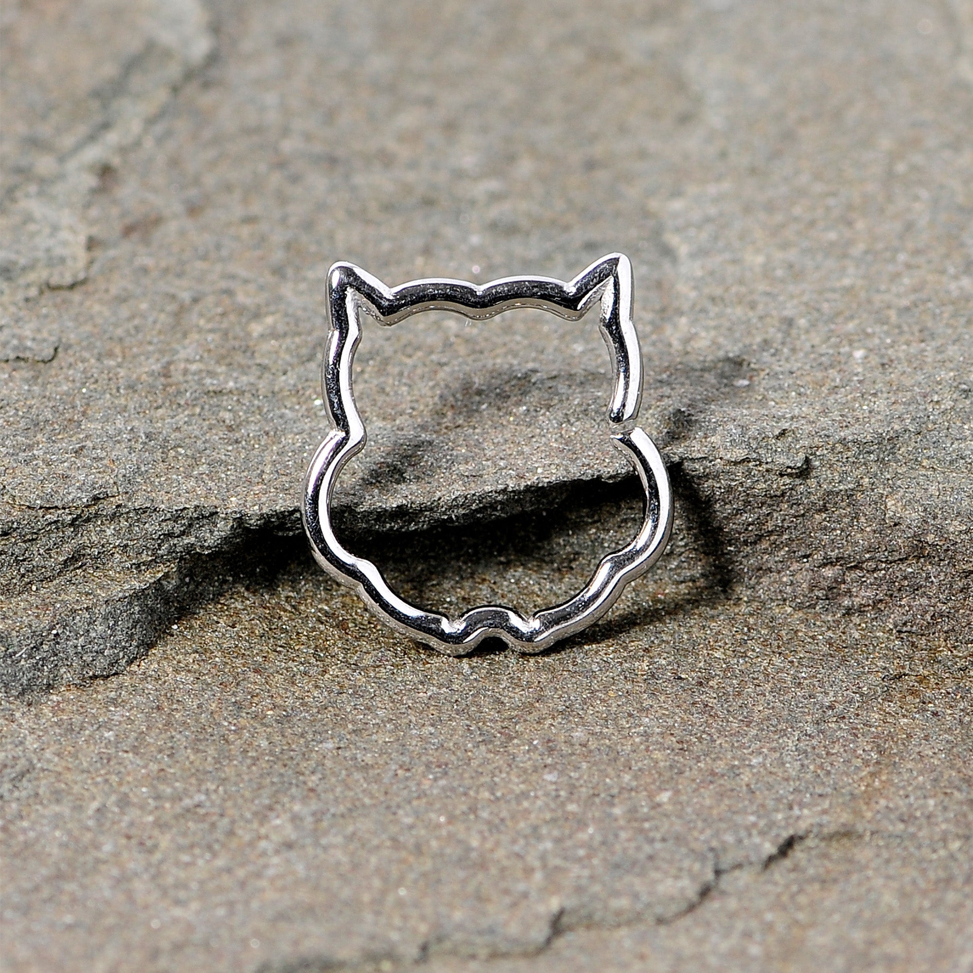 BodyCandy 16G 3/8 Steel Barn Owl Halloween Cartilage Closure Ring — detail close-up