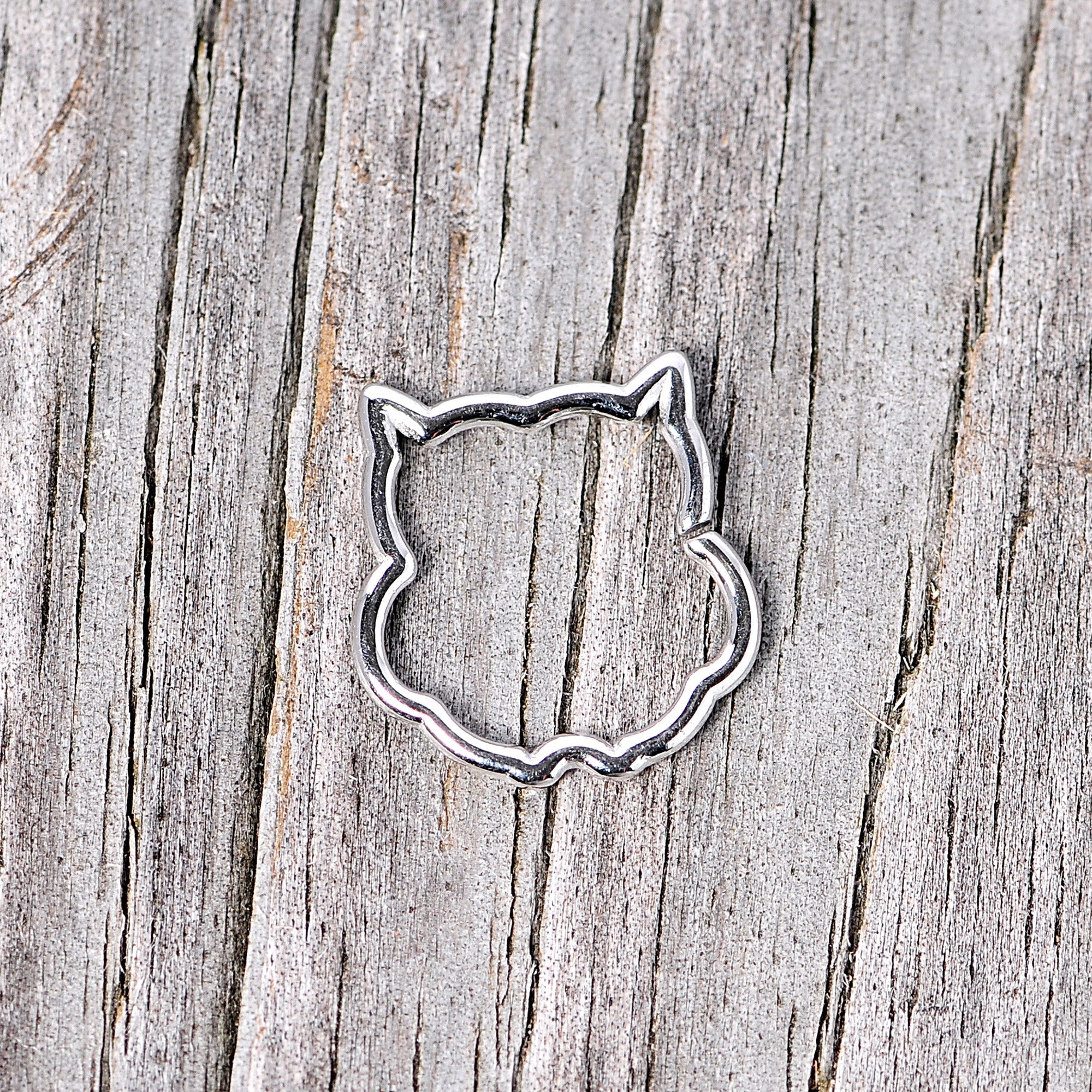 BodyCandy 16G 3/8 Steel Barn Owl Halloween Cartilage Closure Ring — lifestyle context