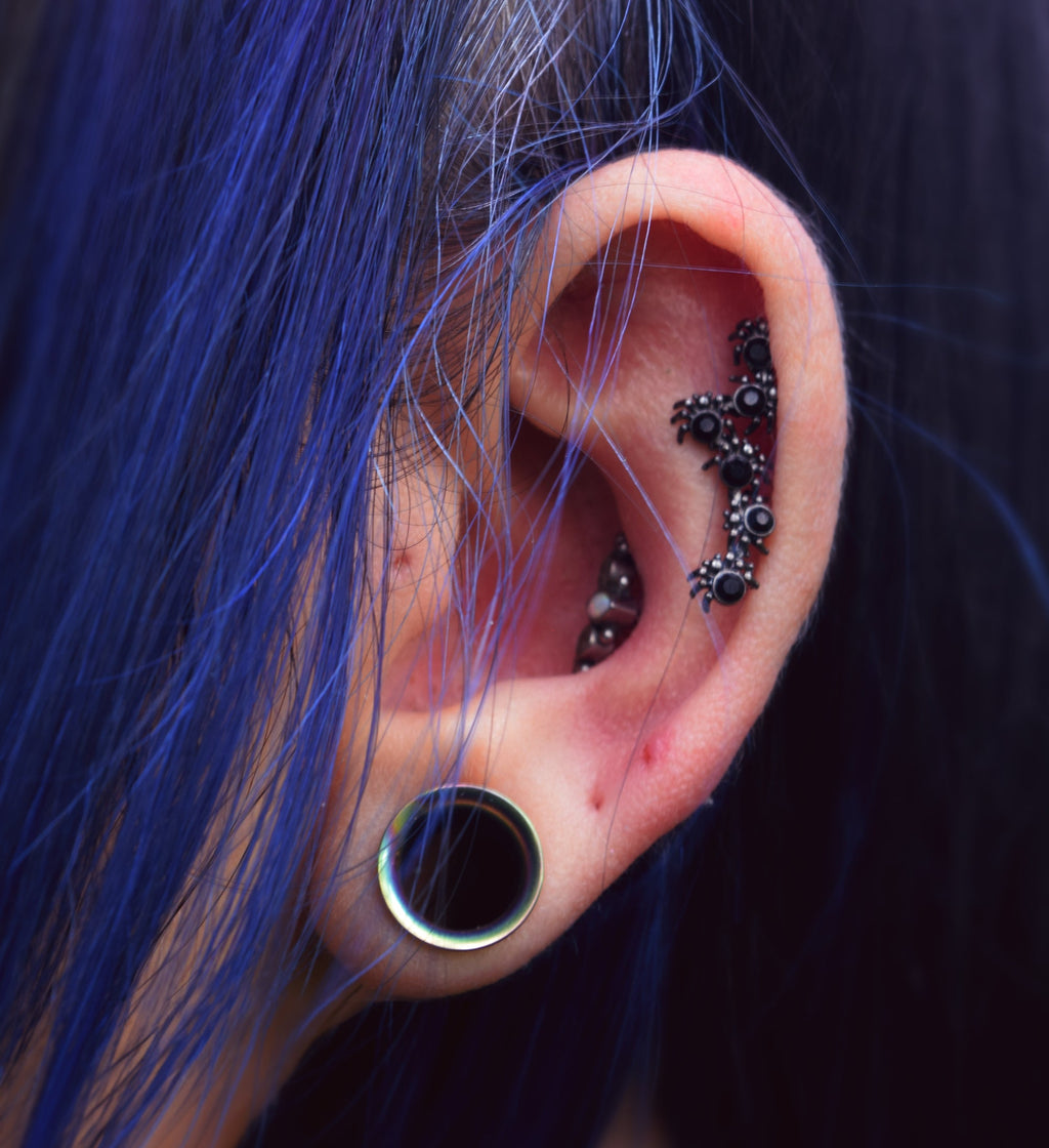 BodyCandy 16G 1/4 Black CZ Gem Black Spider Halloween Cartilage Tragus — detail close-up