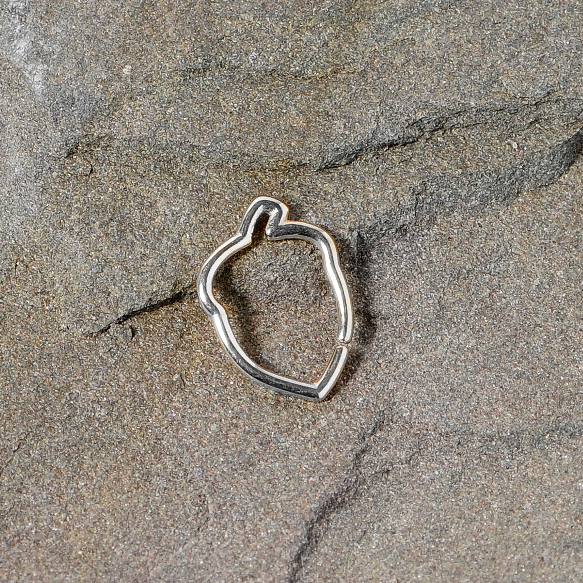 BodyCandy 16G 3/8 Steel Autumn Acorn Closure Ring — detail close-up