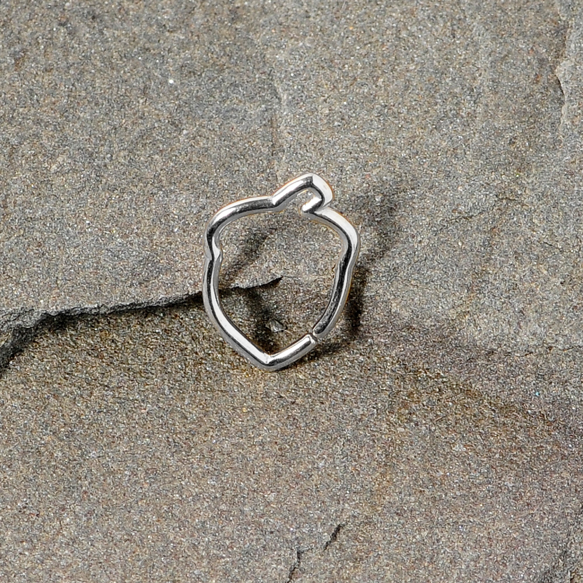 BodyCandy 16G 3/8 Steel Autumn Acorn Closure Ring — lifestyle context