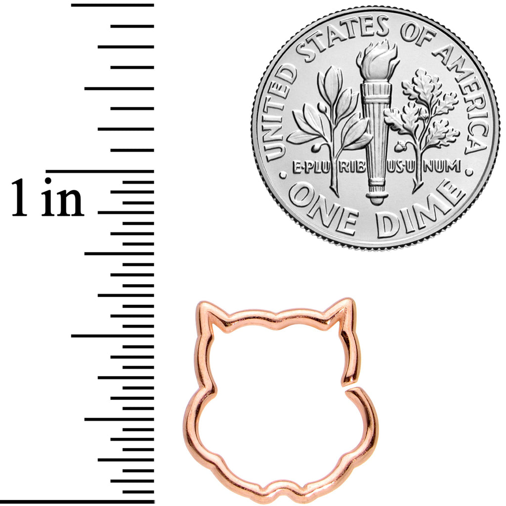 BodyCandy 16G 3/8 Rose Gold Tone Barn Owl Halloween Closure Ring — back view