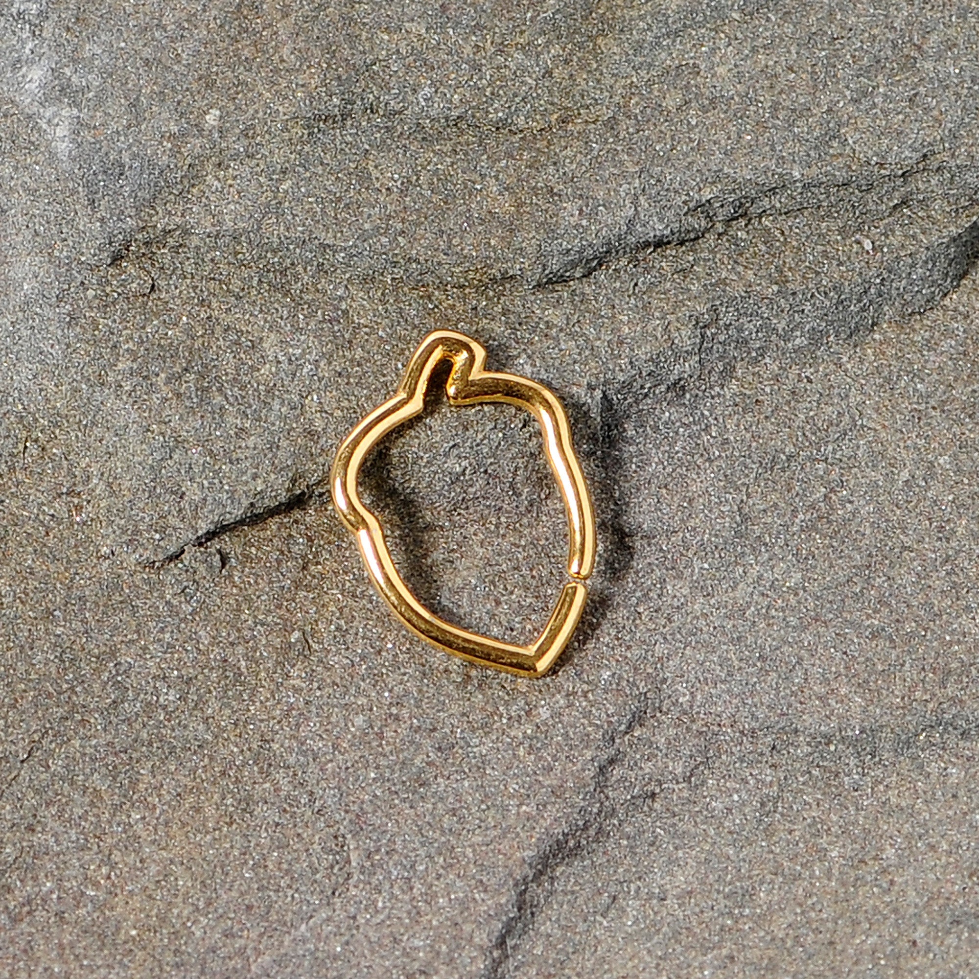 BodyCandy 16G 3/8 Gold Tone Autumn Acorn Closure Ring — detail close-up