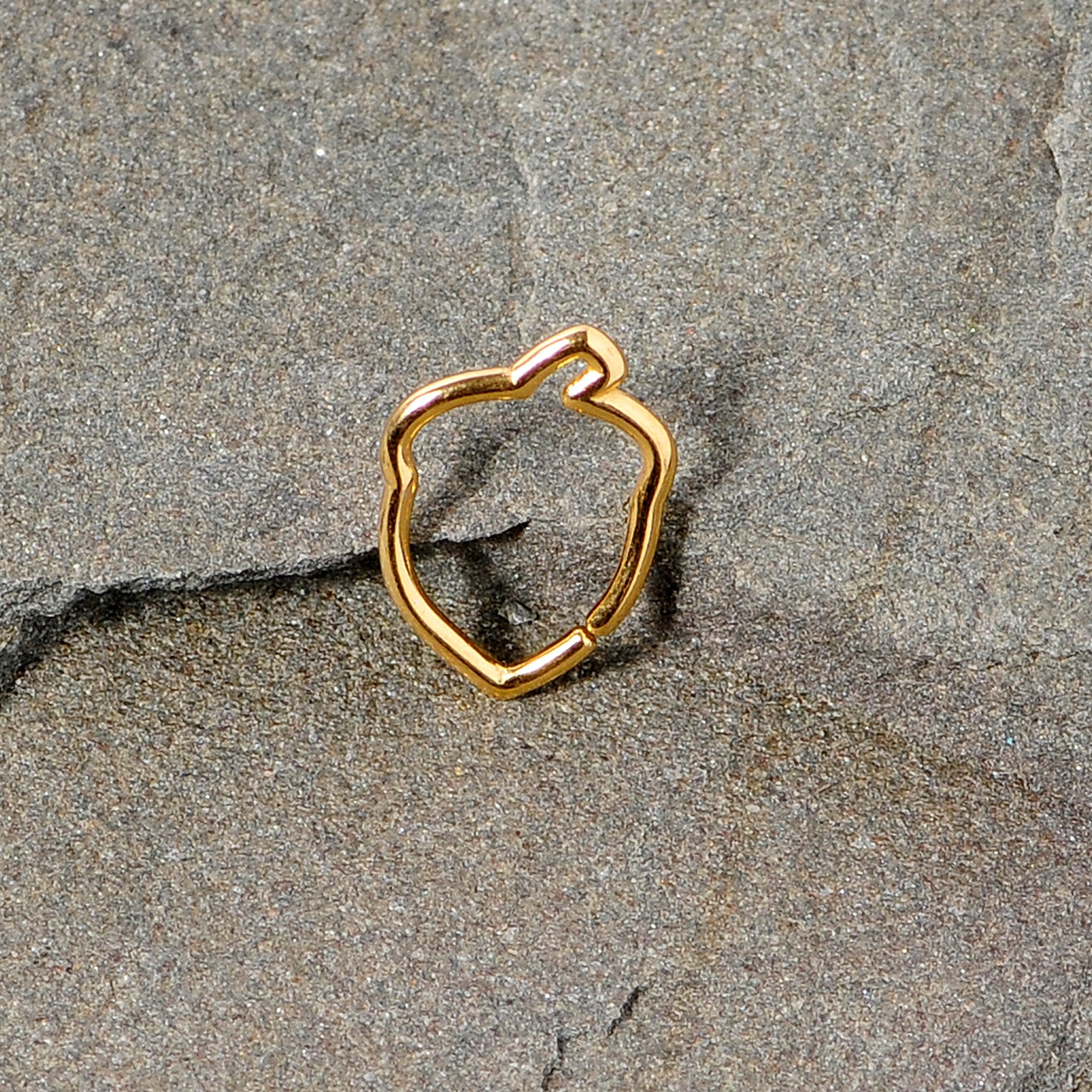BodyCandy 16G 3/8 Gold Tone Autumn Acorn Closure Ring — lifestyle context