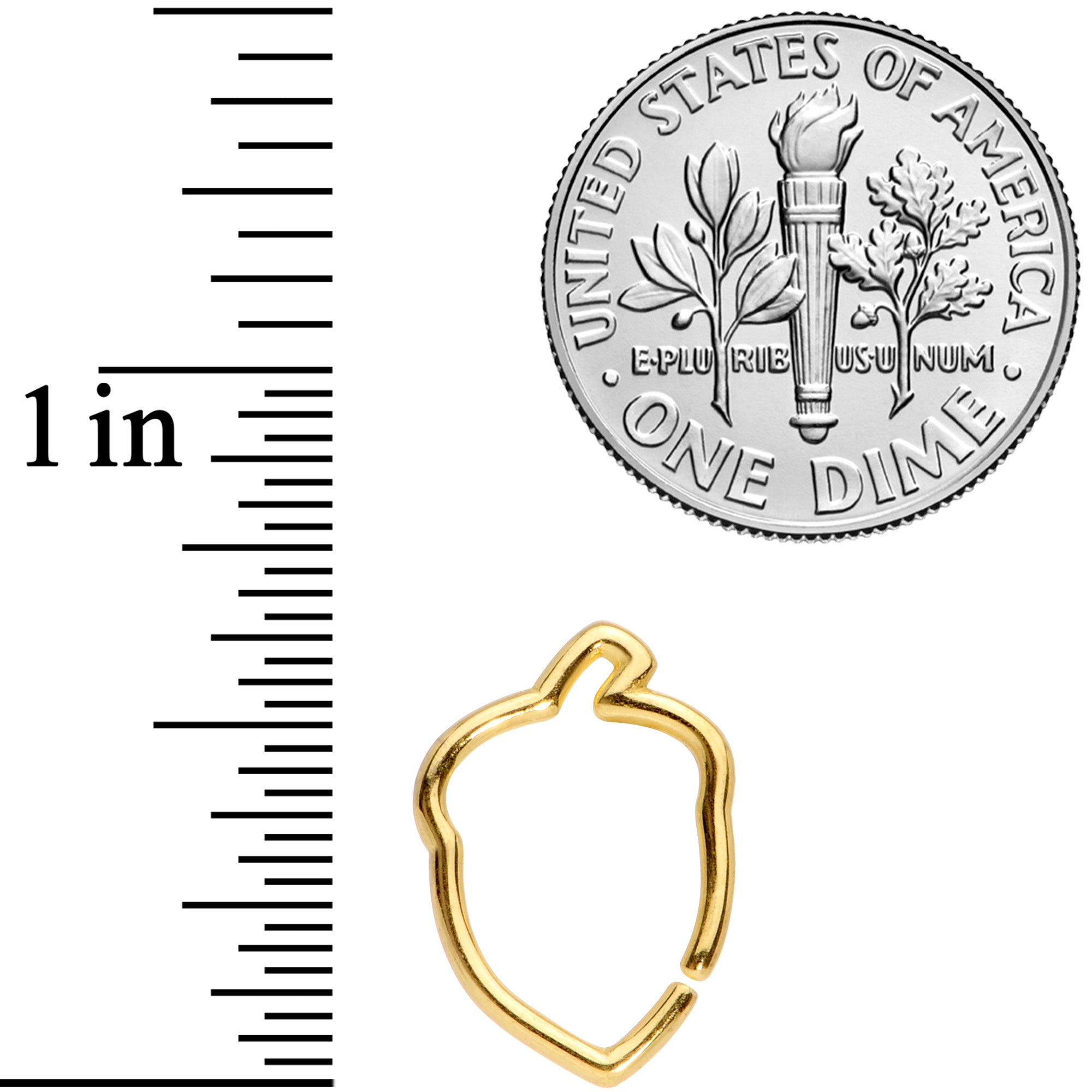 BodyCandy 16G 3/8 Gold Tone Autumn Acorn Closure Ring — back view