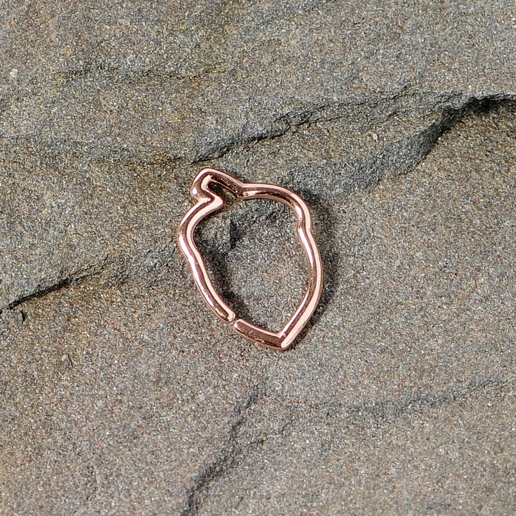 BodyCandy 16G 3/8 Rose Gold Tone Autumn Acorn Closure Ring — lifestyle context