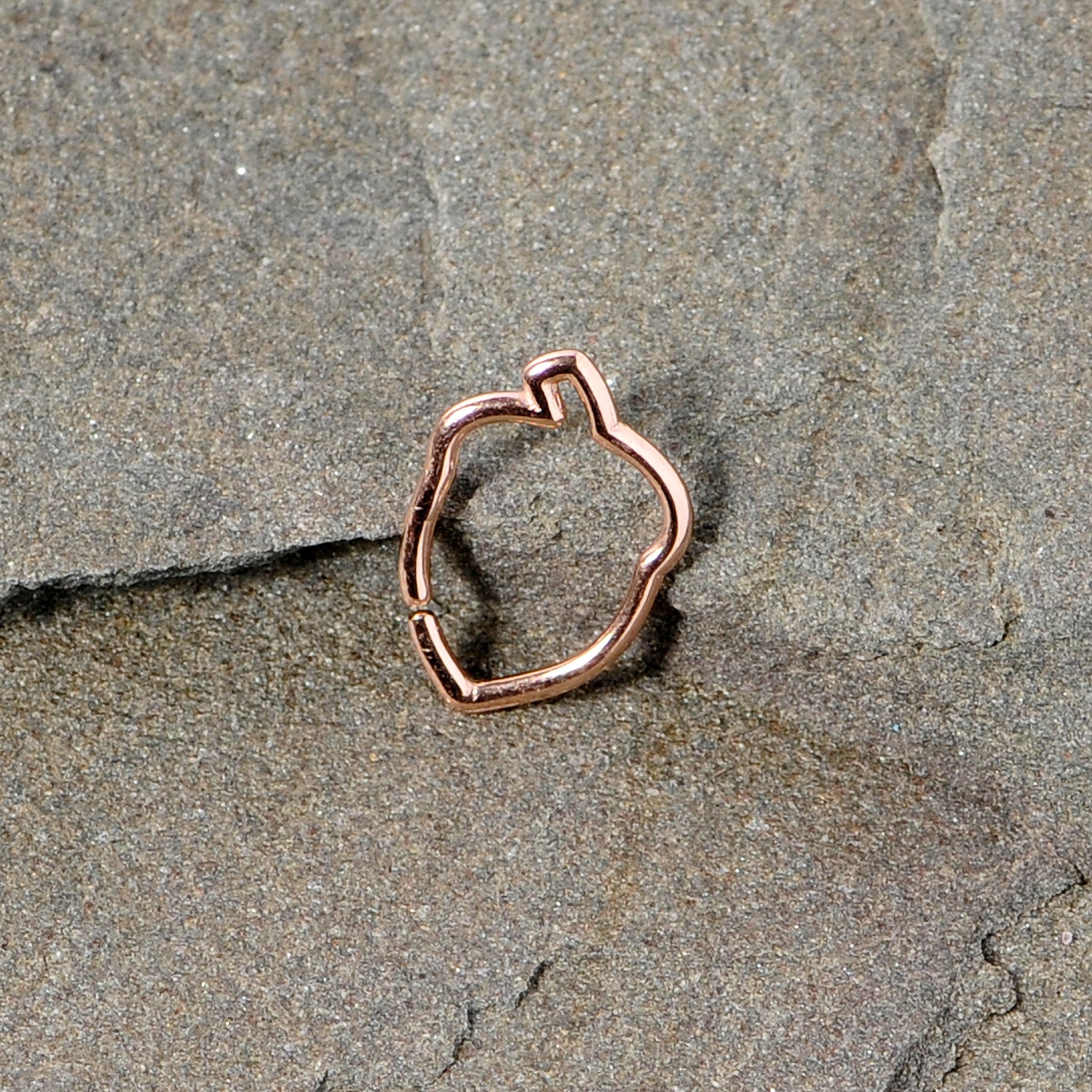 BodyCandy 16G 3/8 Rose Gold Tone Autumn Acorn Closure Ring — side view